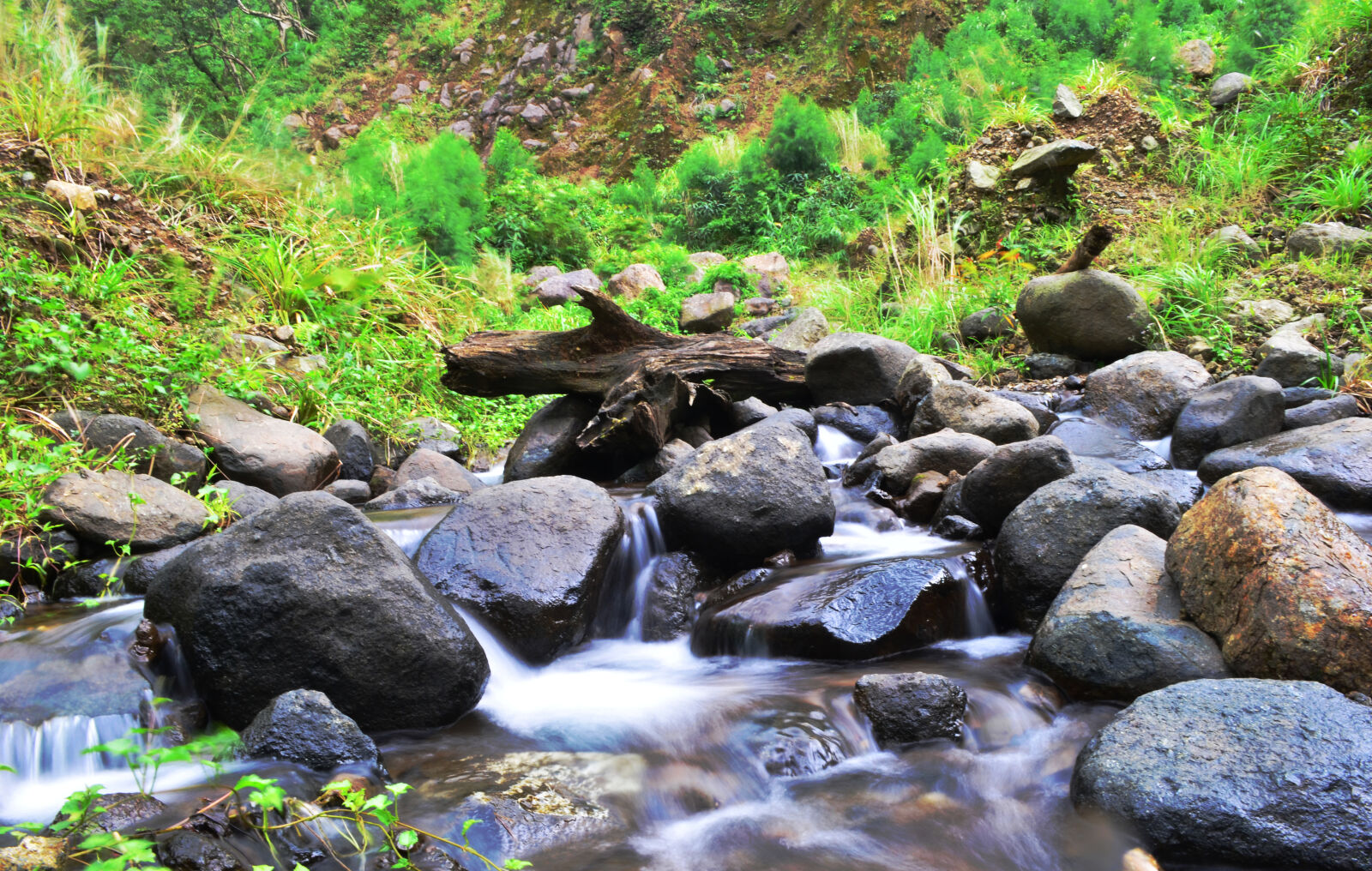Nikon D5100 sample photo. Grass, rocks, stream, wood photography