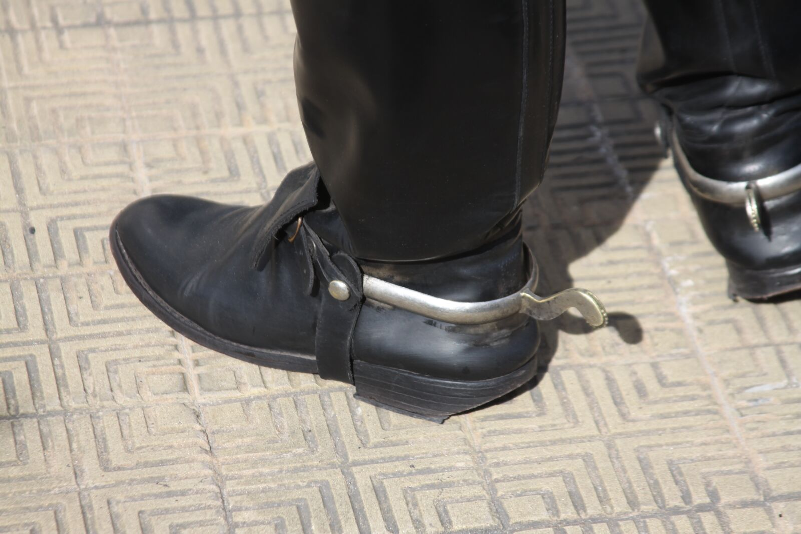 Canon EOS 50D sample photo. Grenadier, boot, spur photography