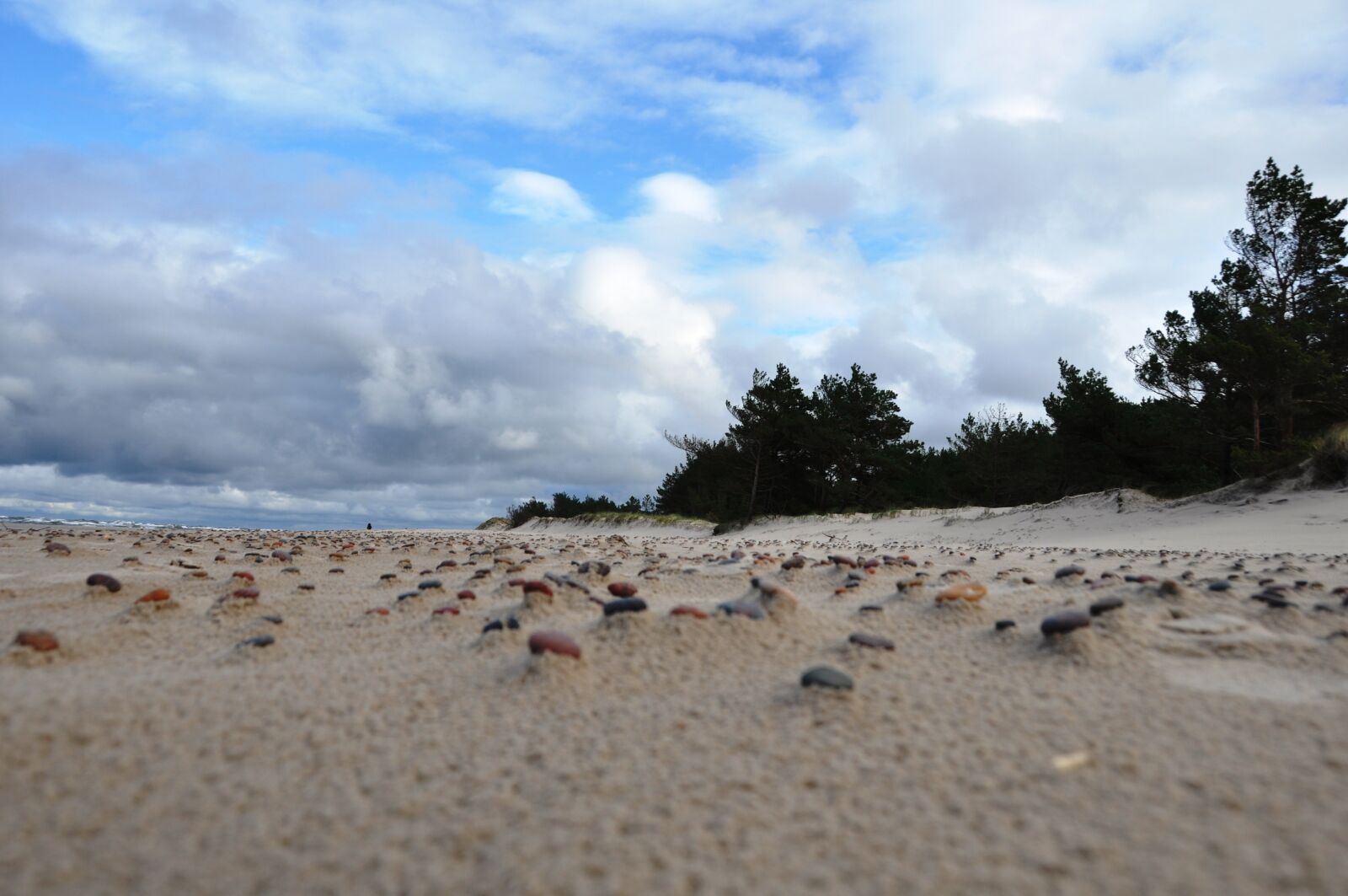 Nikon D90 sample photo. Baltic, beach, poland photography