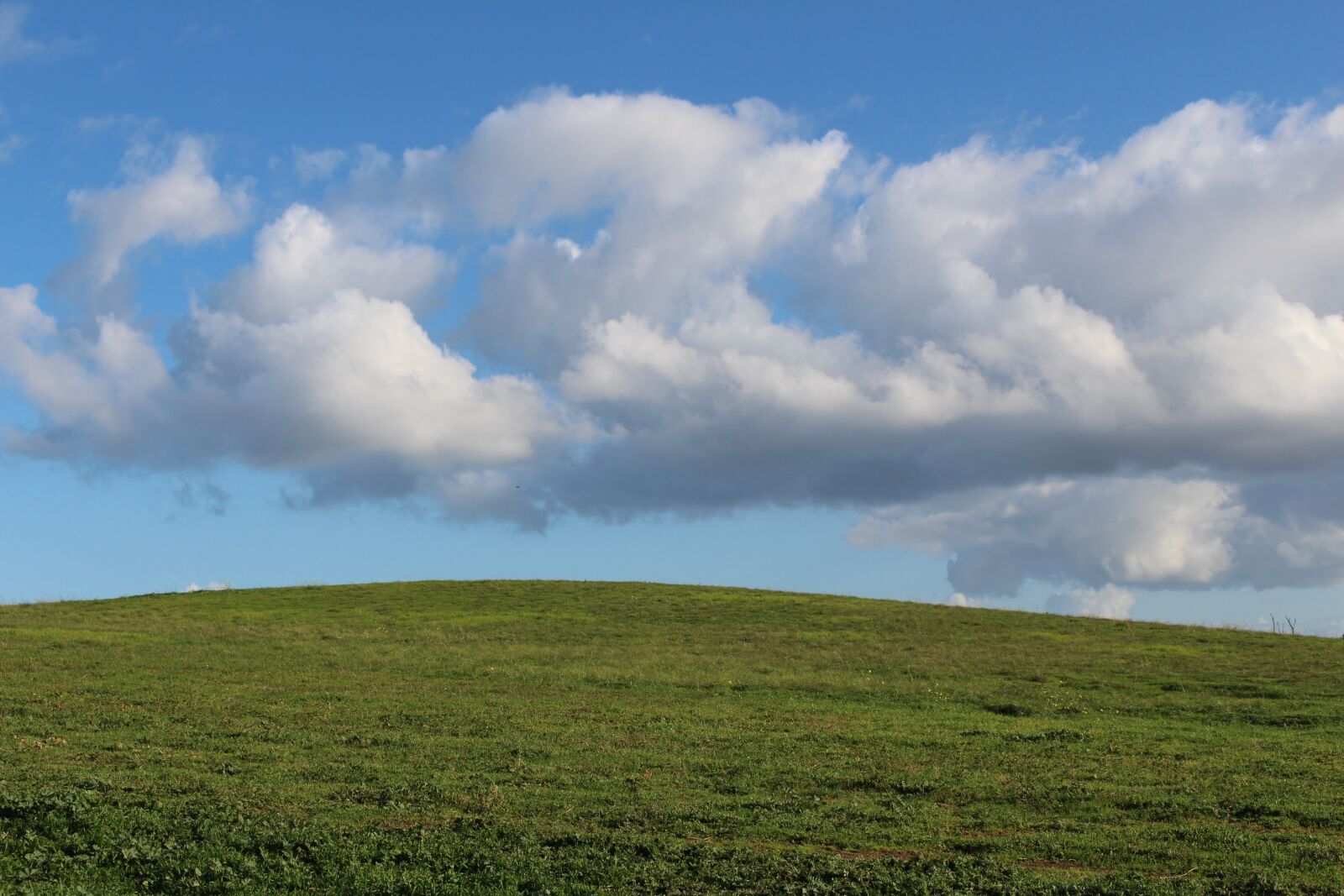 Canon EOS 700D (EOS Rebel T5i / EOS Kiss X7i) sample photo. Panoramic, nature, grass photography