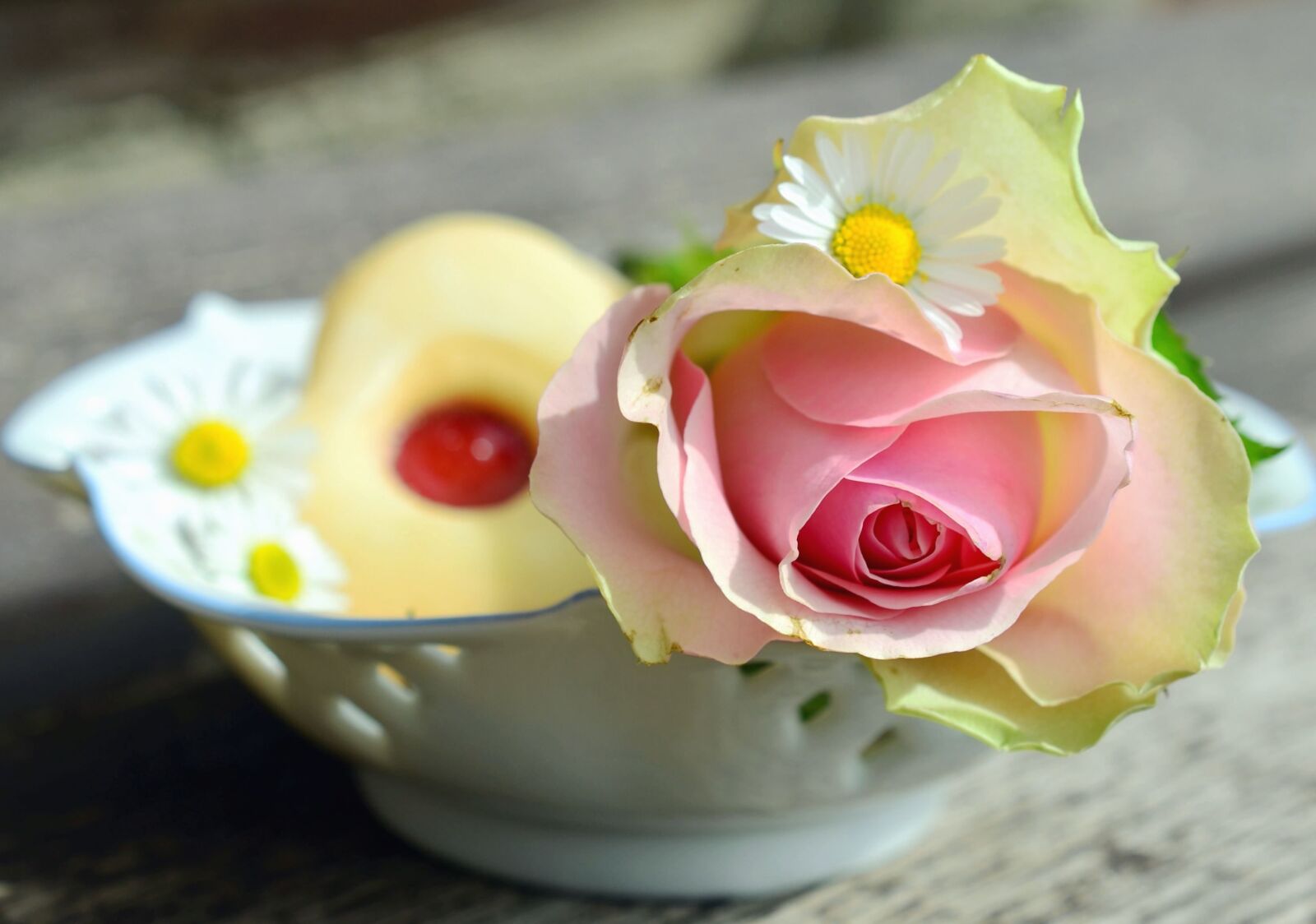 Nikon D5100 sample photo. Rose, petal, flower, bowl photography