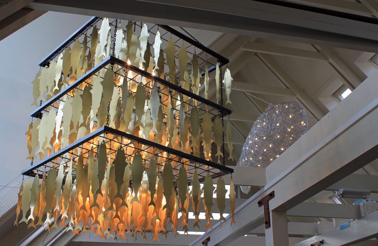 Canon EOS 500D (EOS Rebel T1i / EOS Kiss X3) sample photo. Lamp, fish, lighting photography
