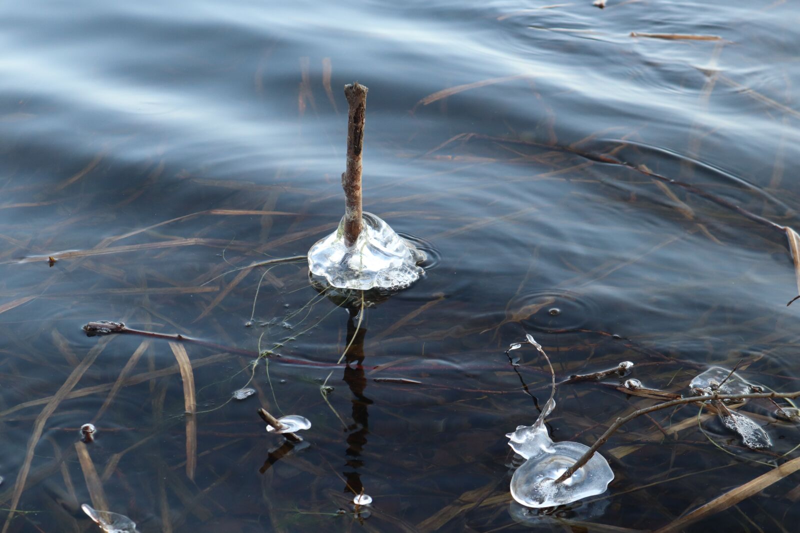 Canon EOS M50 (EOS Kiss M) sample photo. Winter, water, ice photography