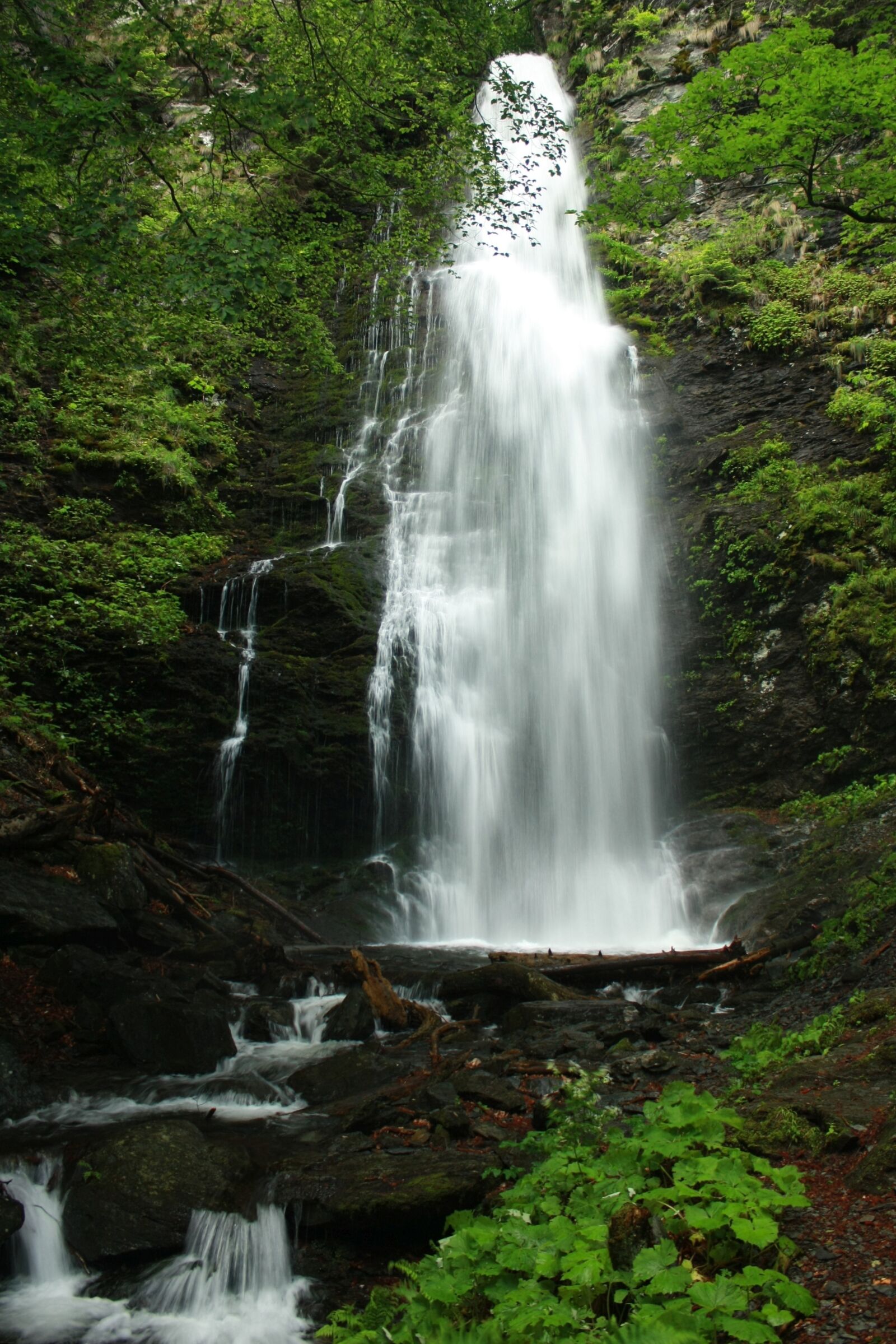 Canon EOS 450D (EOS Rebel XSi / EOS Kiss X2) sample photo. Waterfall, stara planina, mountain photography
