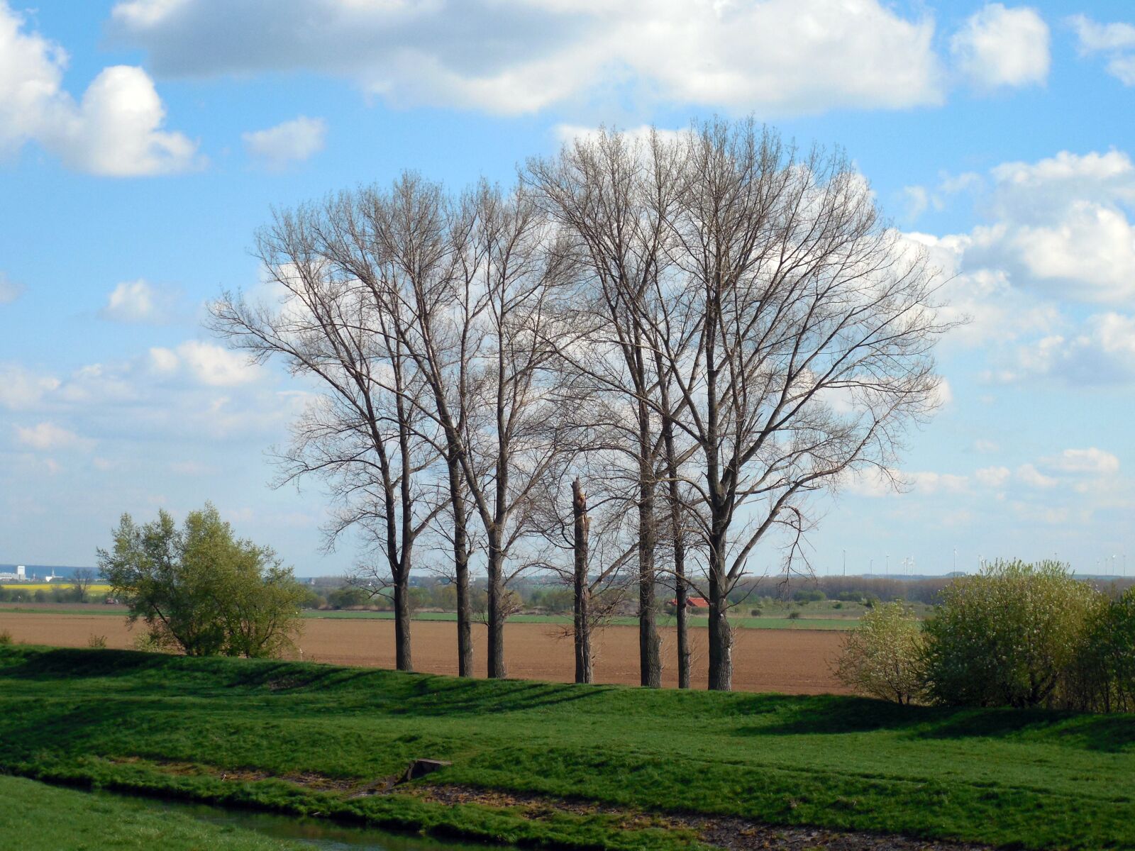 Nikon COOLPIX L620 sample photo. Trees, spring, nature photography
