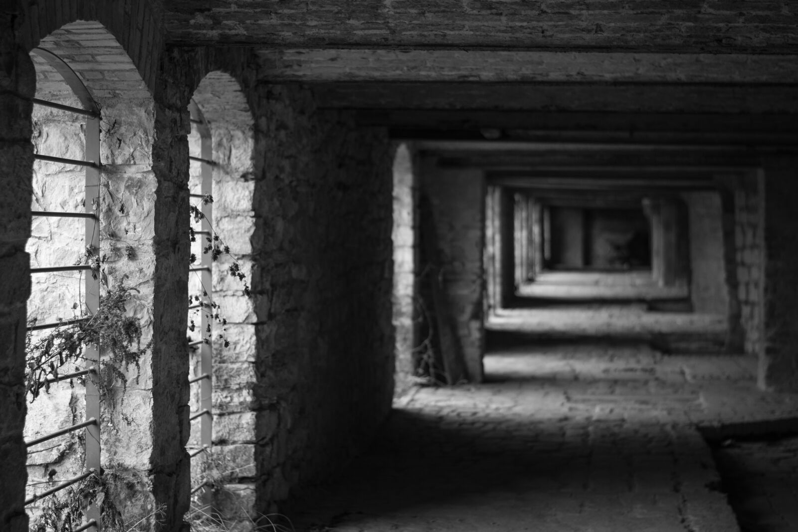 Nikon D5200 sample photo. Architecture, building, masonry photography