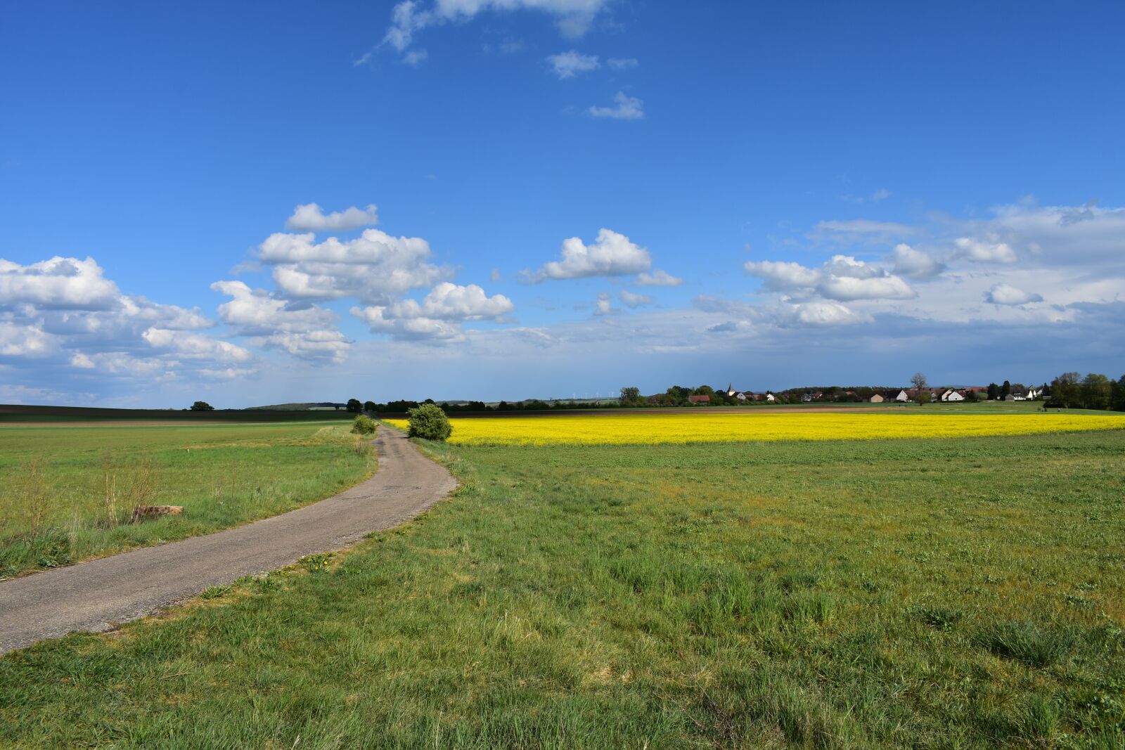 Nikon D3400 sample photo. Landscape, away, meadow photography