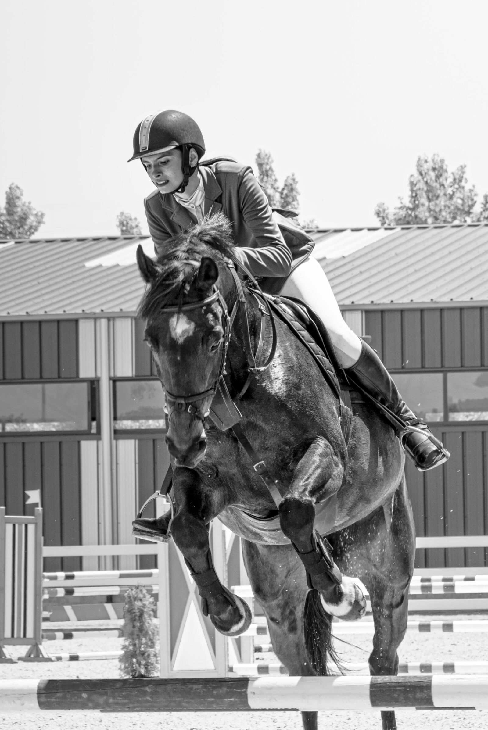 Nikon D7100 sample photo. Horse, jockey, sport photography