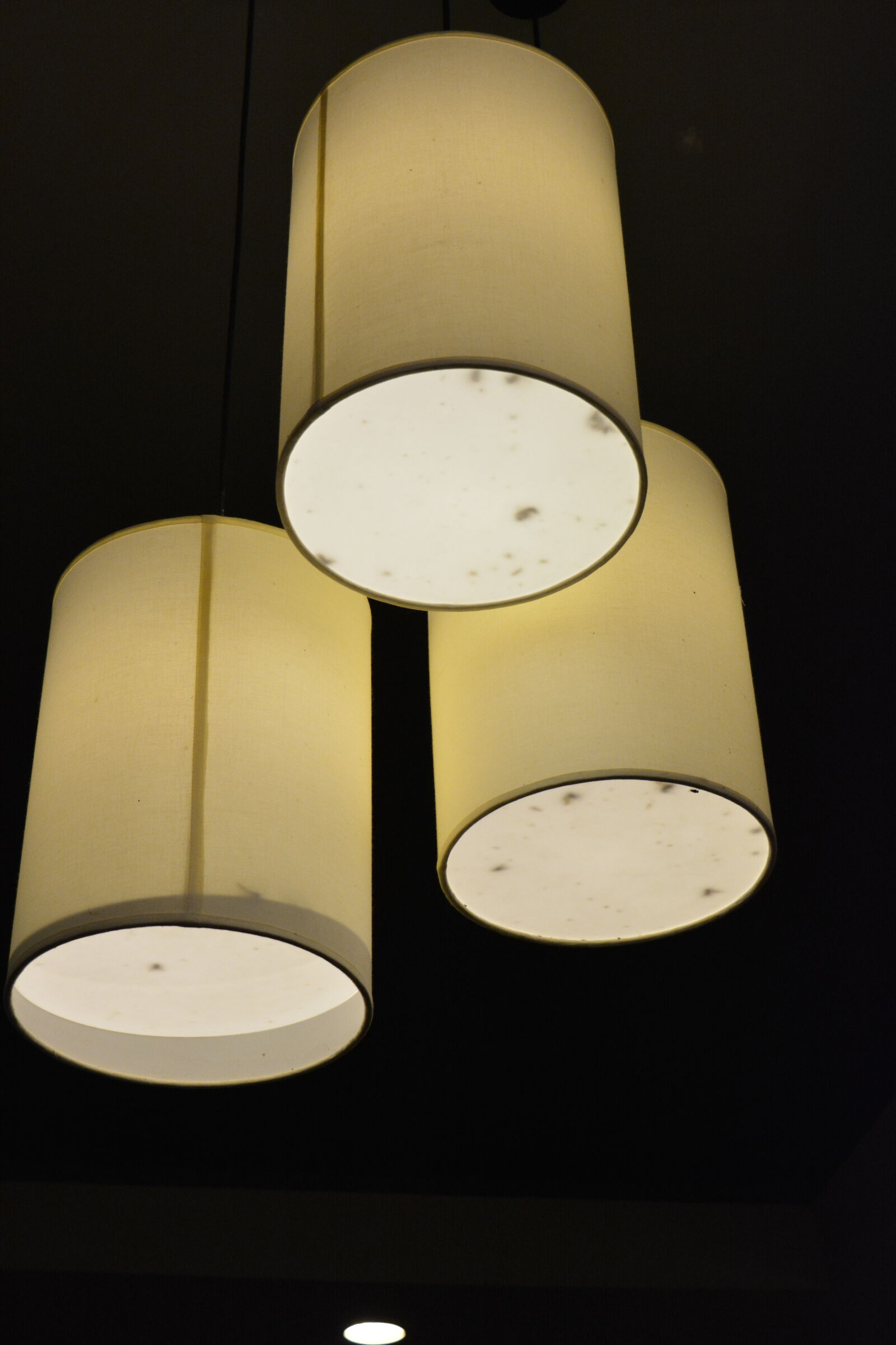 Nikon D5200 sample photo. Ceiling, lamp, dark, lights photography