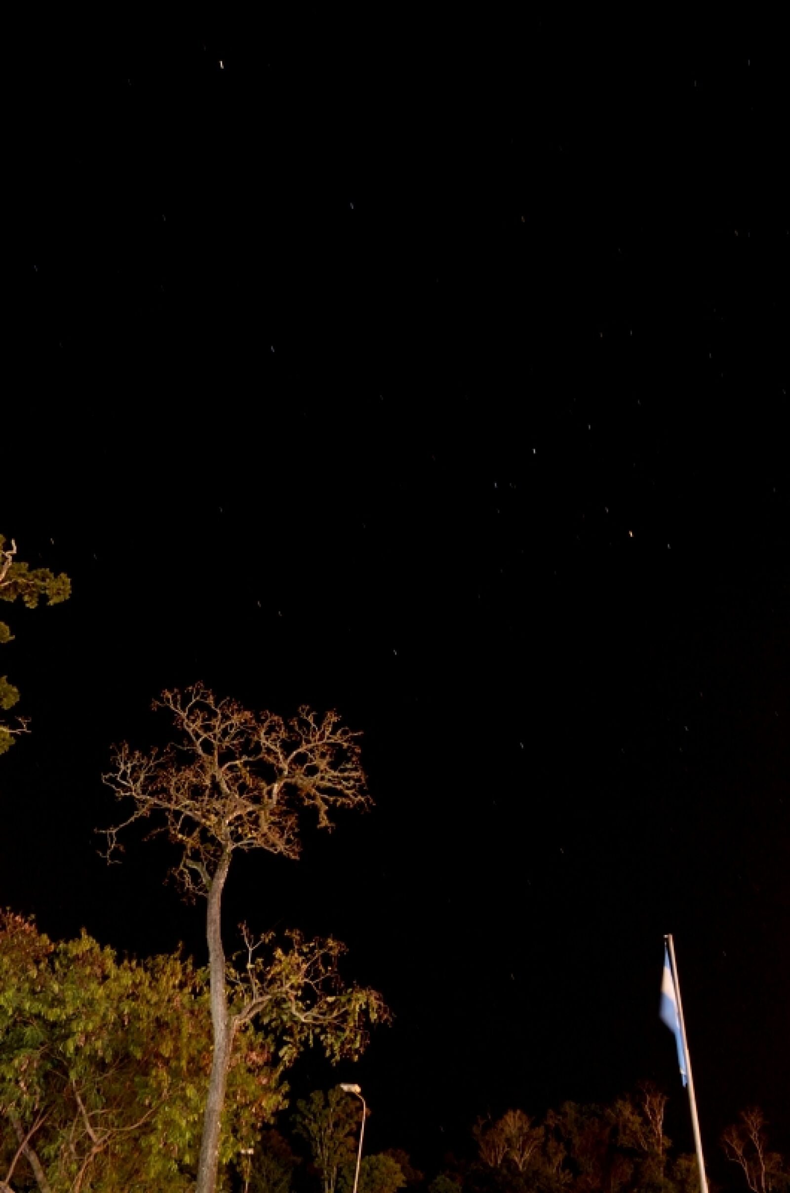Nikon D5100 sample photo