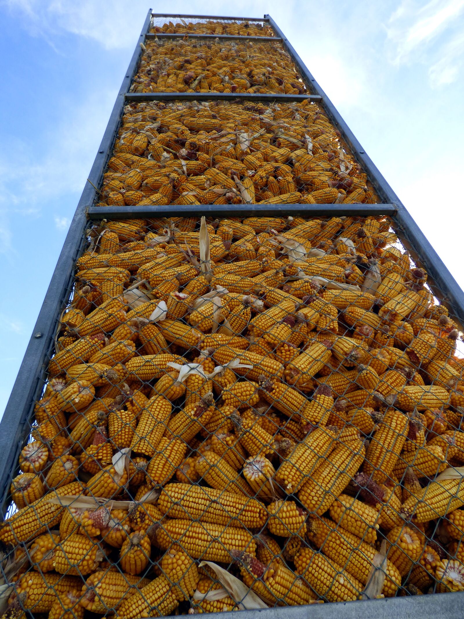 Panasonic DMC-FZ72 sample photo. Silo, corn, agriculture photography
