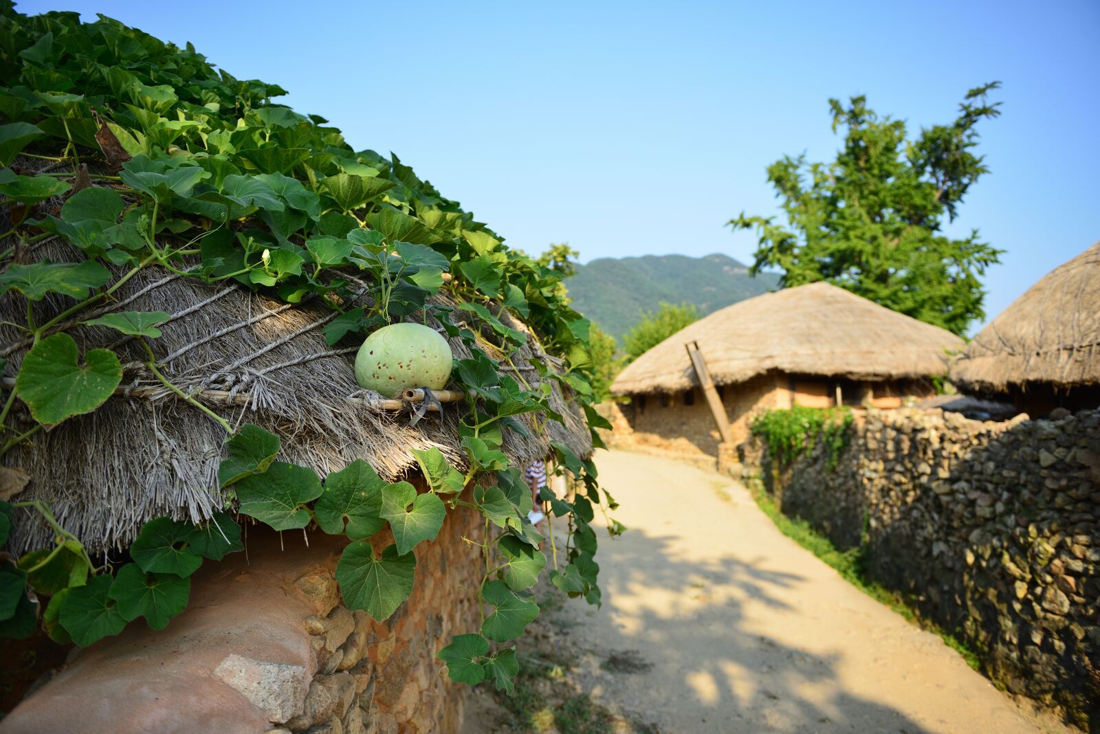 Nikon D800 sample photo. Home, naganeupseong, suncheon photography
