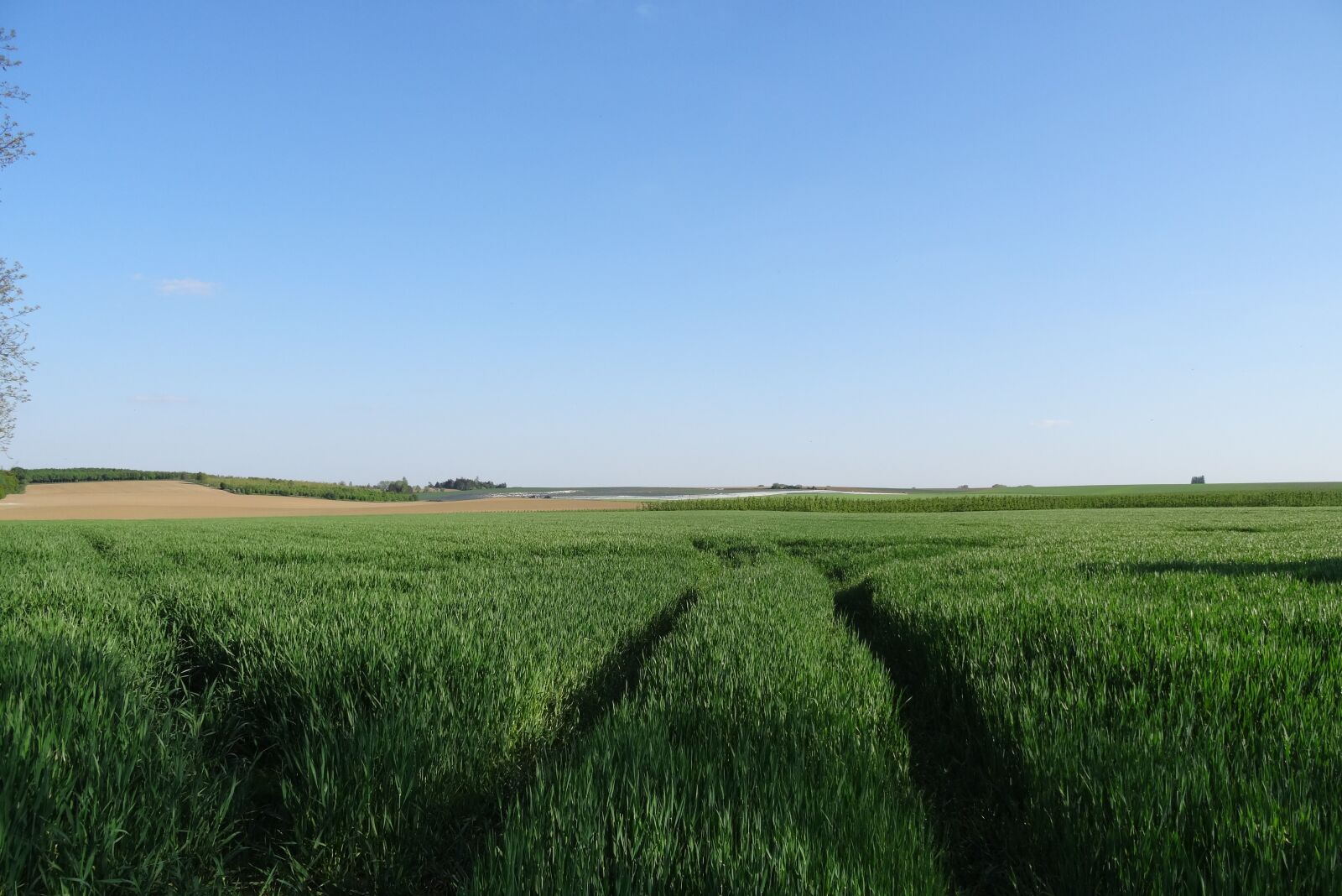 Sony DSC-HX50 sample photo. Landscape, field, nature photography