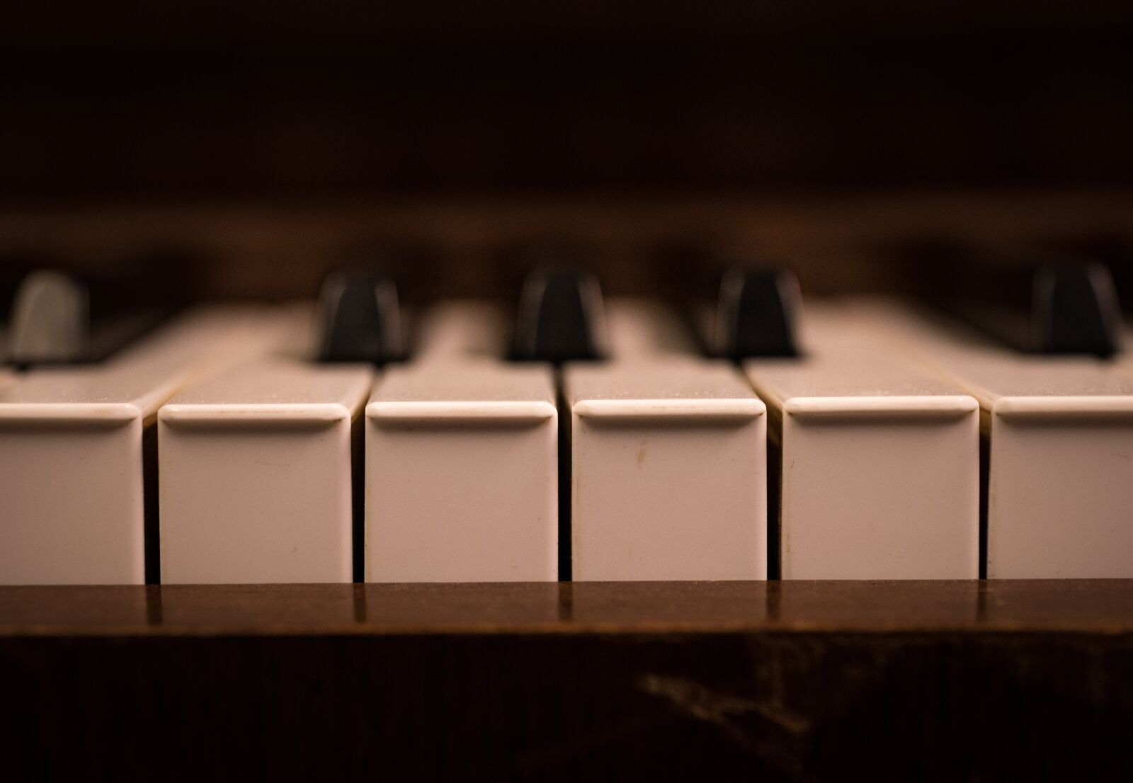 Nikon D610 sample photo. Keys, piano, close up photography
