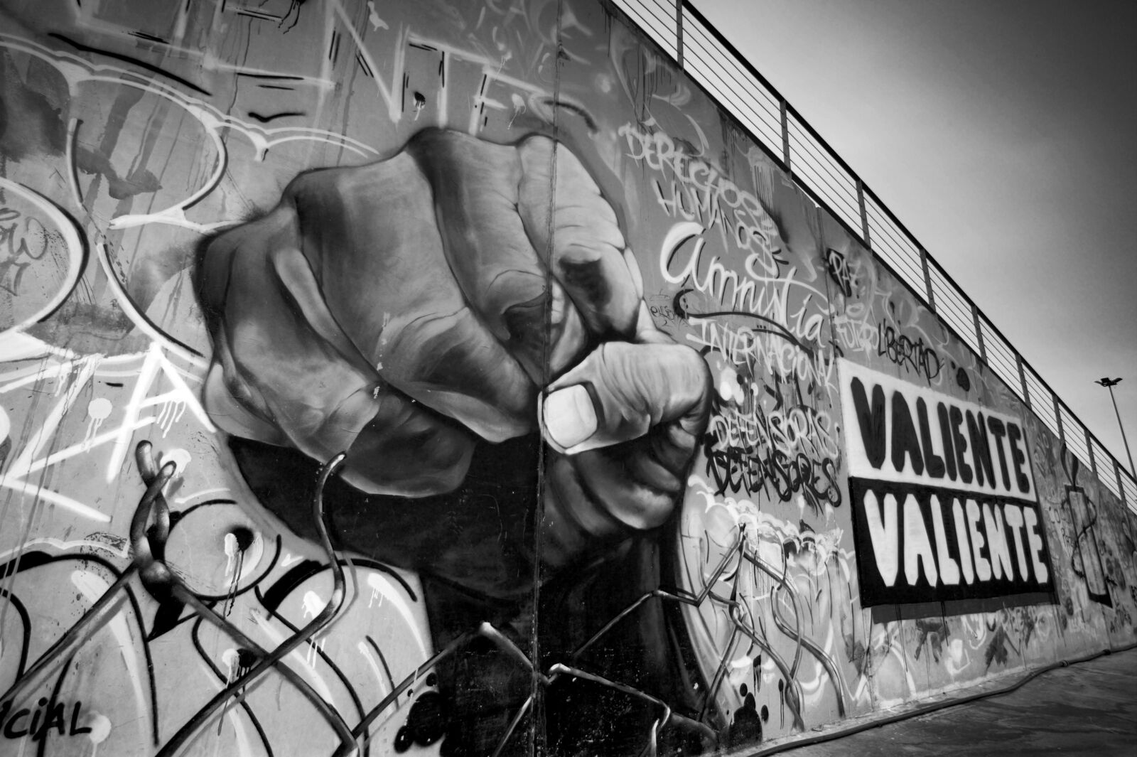 Canon EOS 5D Mark II sample photo. Valencia, spain, black and photography