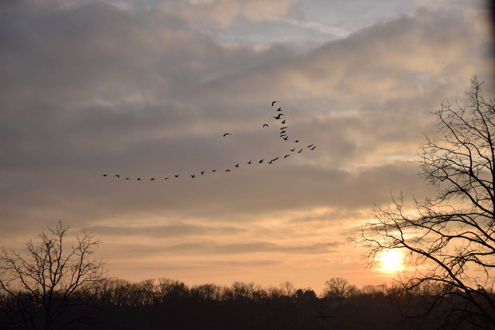 Nikon D5300 sample photo. Nature, sun, sunset photography