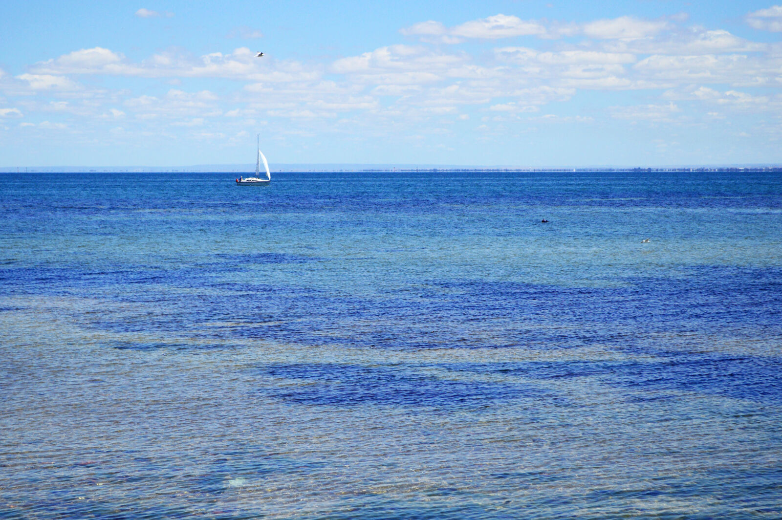 Nikon D3200 sample photo. Australia, beach, beach, landscape photography