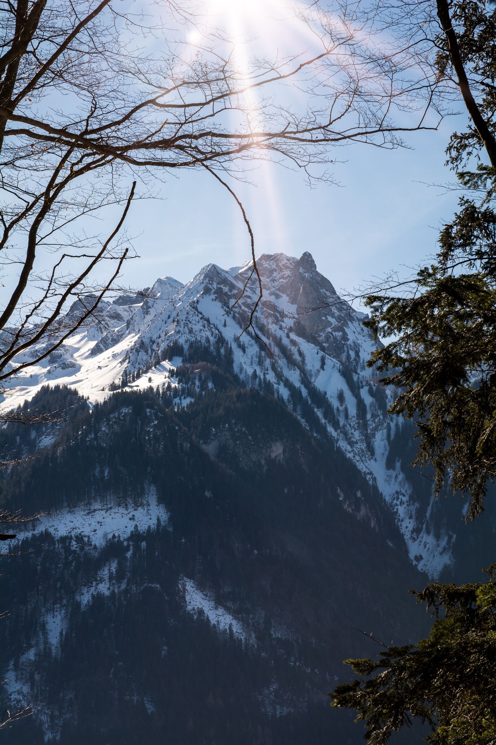 Nikon D7100 sample photo. Nature, landscape, winter photography