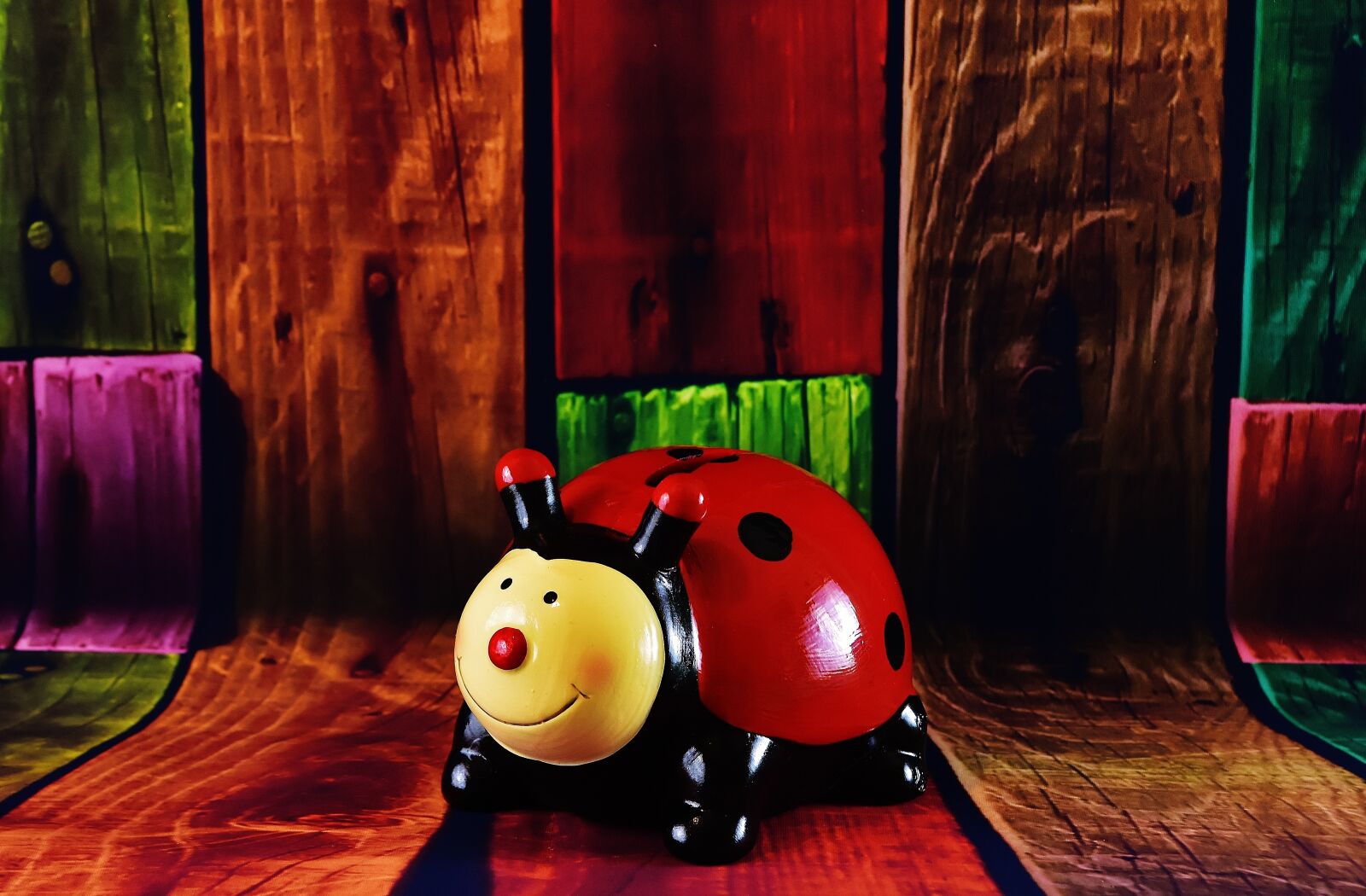 Nikon D7200 sample photo. Ladybug, figure, lucky ladybug photography