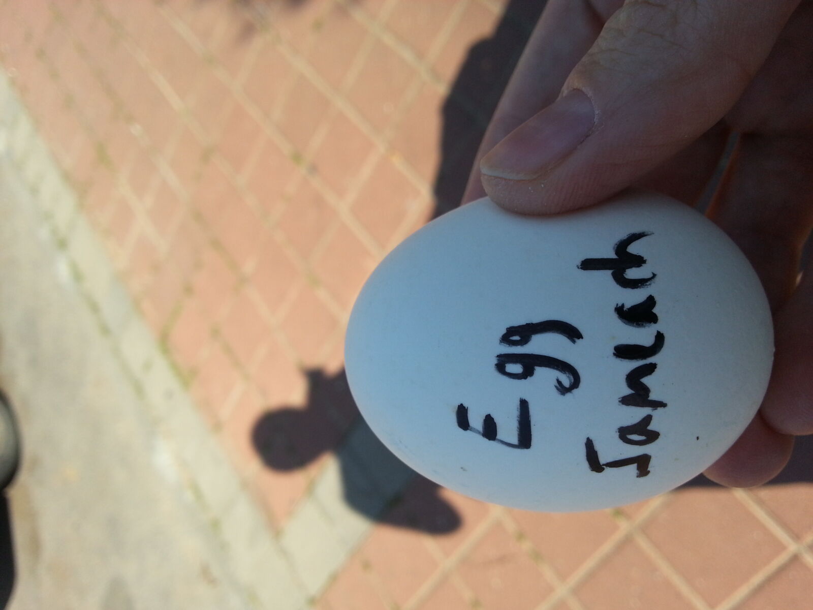 Samsung Galaxy S3 sample photo. Chag, sameach, egg, happy photography