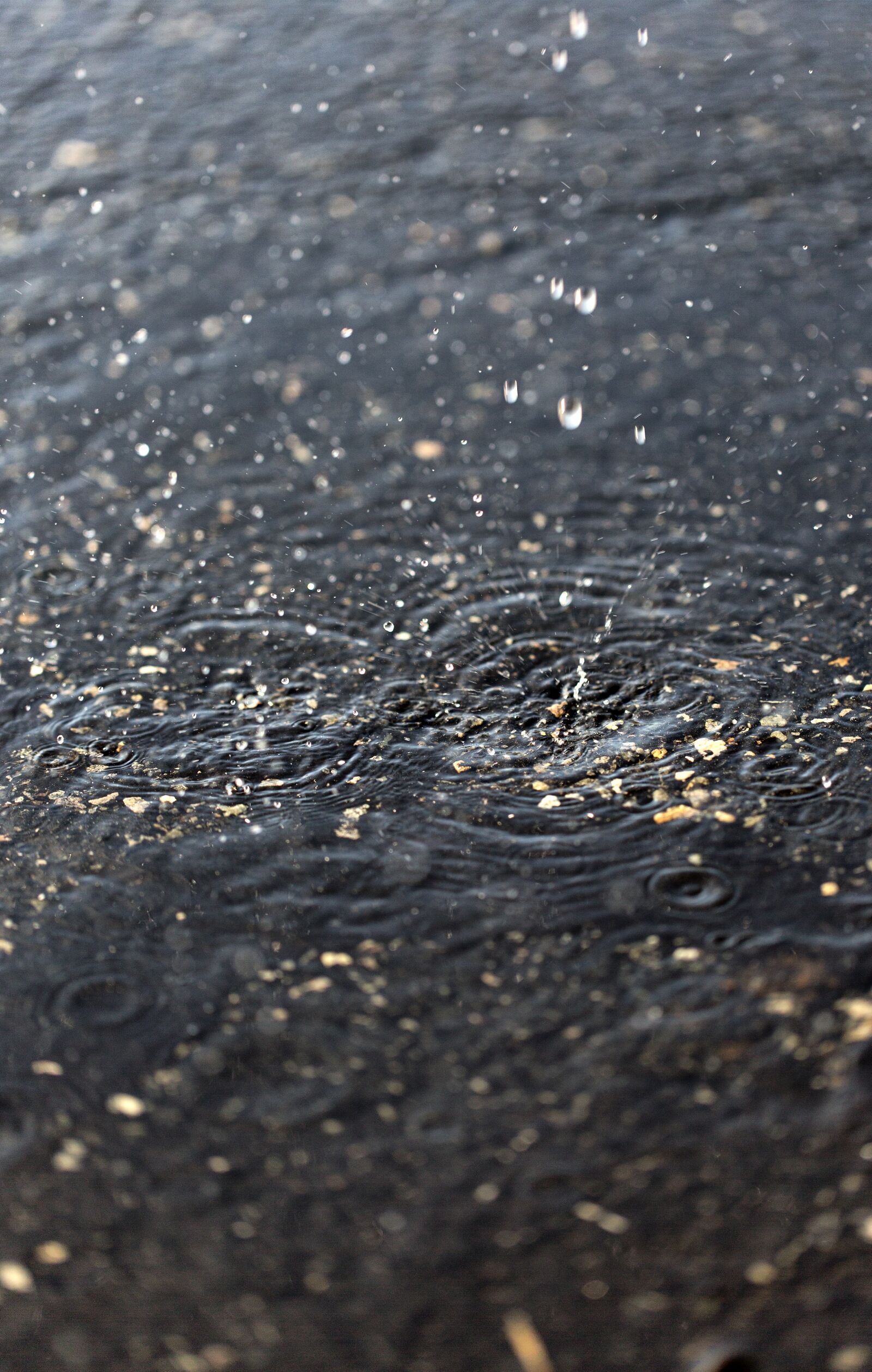 Canon EF 100mm F2.8L Macro IS USM sample photo. Dripping, splash, water explosion photography