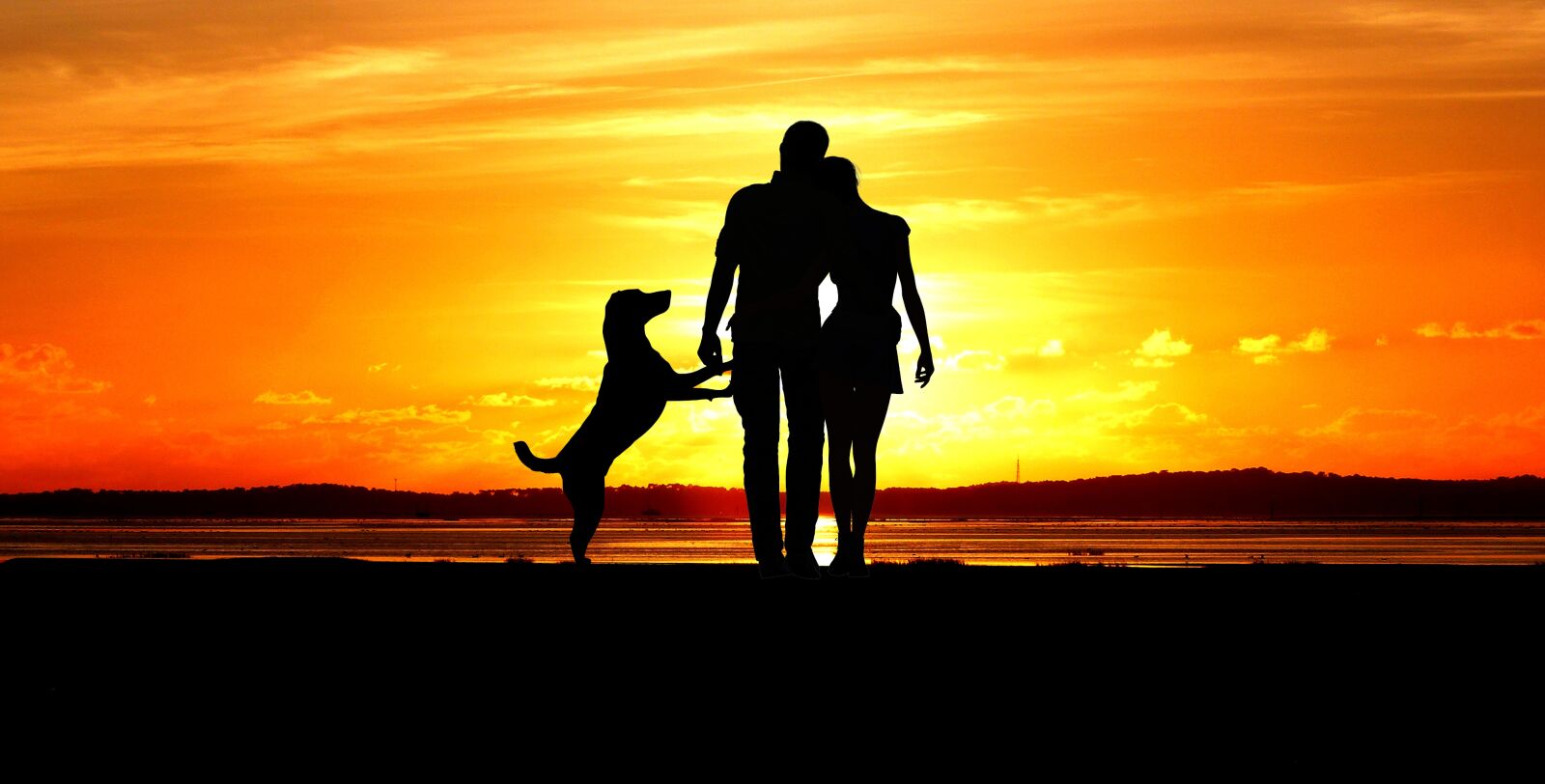 Panasonic Lumix DMC-FZ200 sample photo. Sunset, man, woman photography