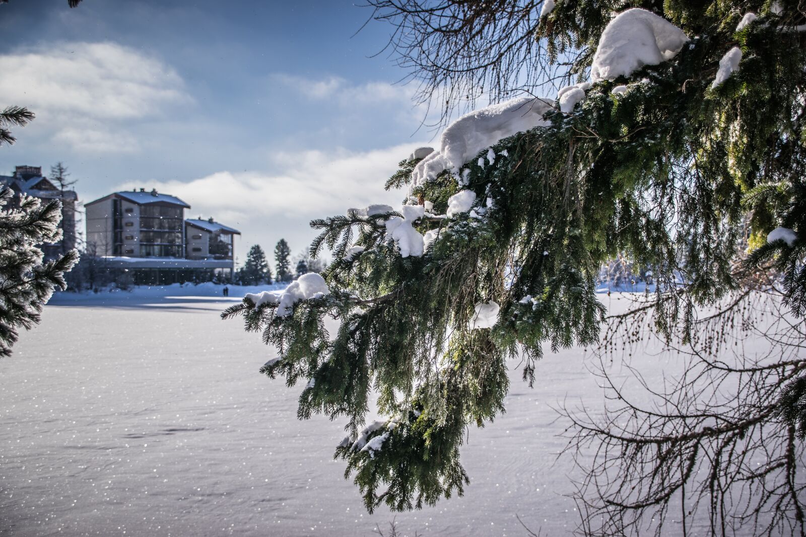 Nikon D5300 sample photo. Winter, frost, snow photography
