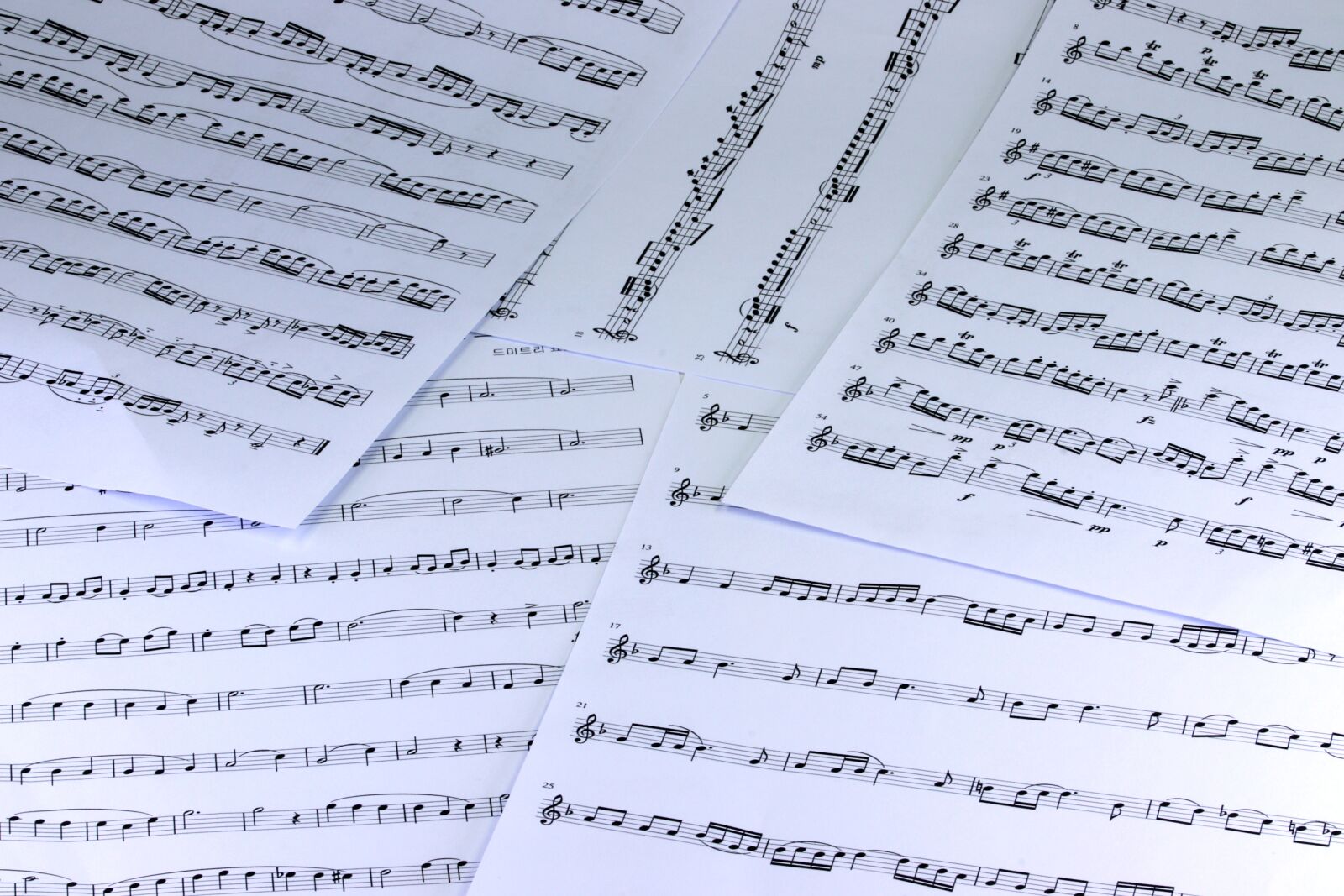 Canon EOS 800D (EOS Rebel T7i / EOS Kiss X9i) sample photo. Music, sheet music, clef photography