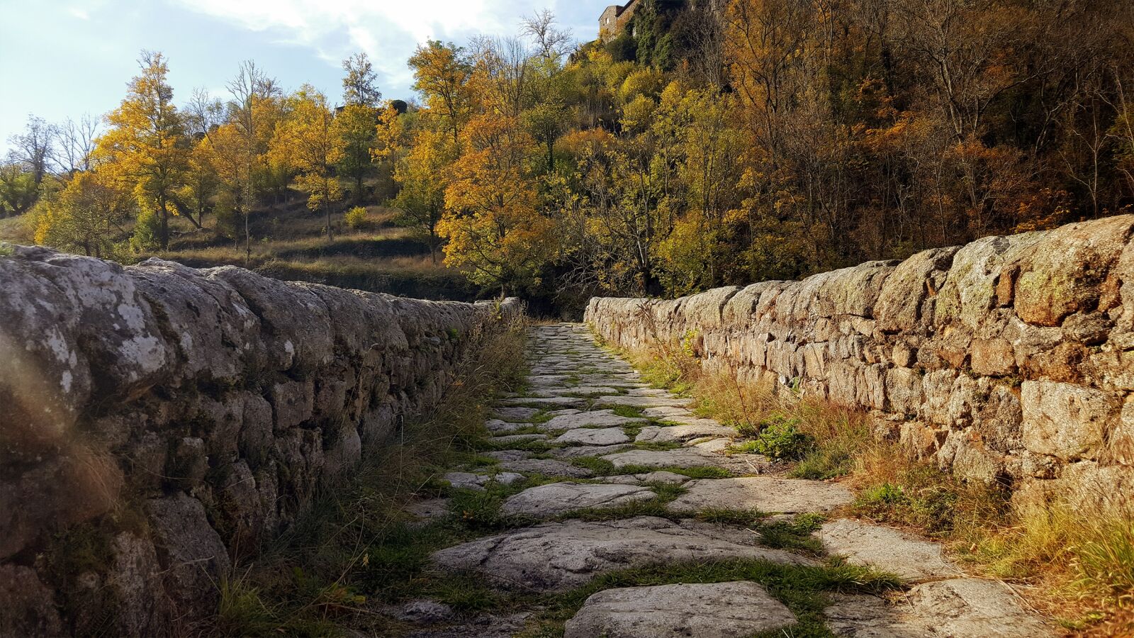 Samsung GALAXY S6 edge sample photo. Nature, fall, outdoor photography