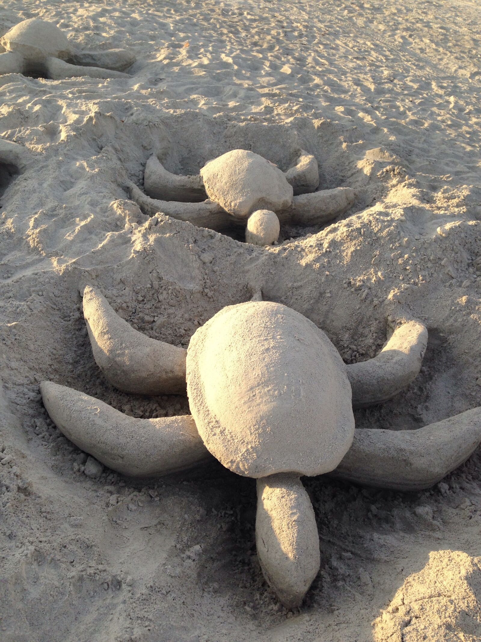 iPhone 5 back camera 4.12mm f/2.4 sample photo. St pete, florida, beach photography