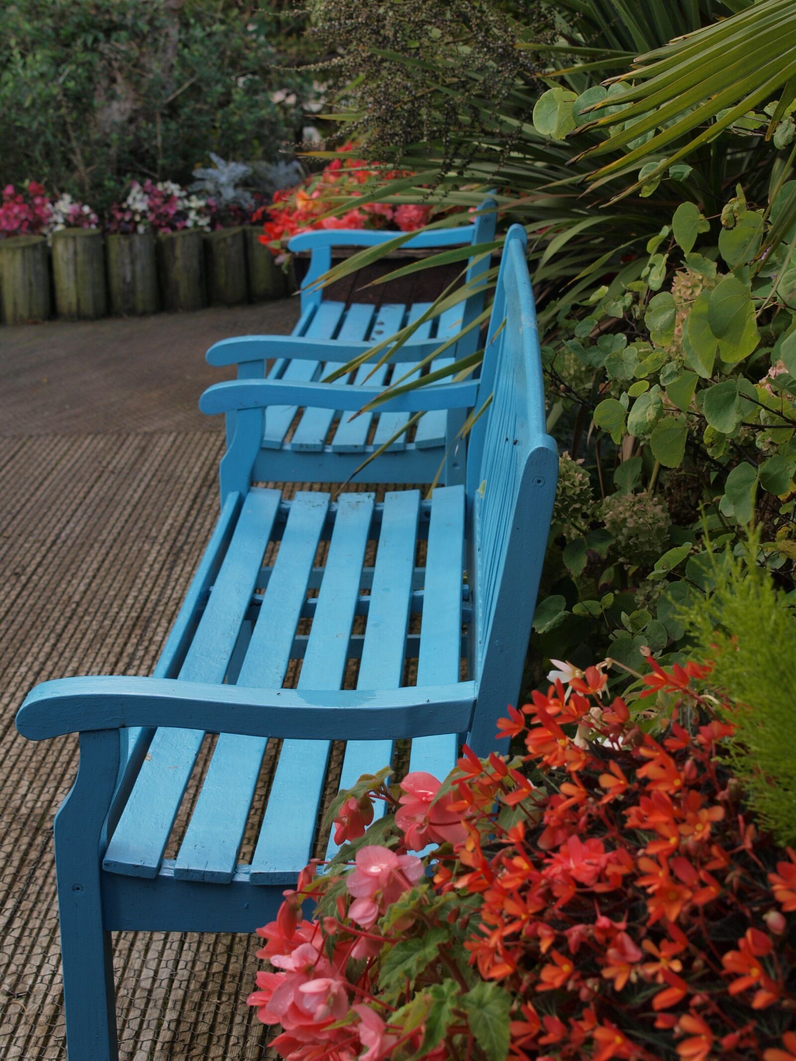 Olympus E-520 (EVOLT E-520) sample photo. Bench, seat, chair photography
