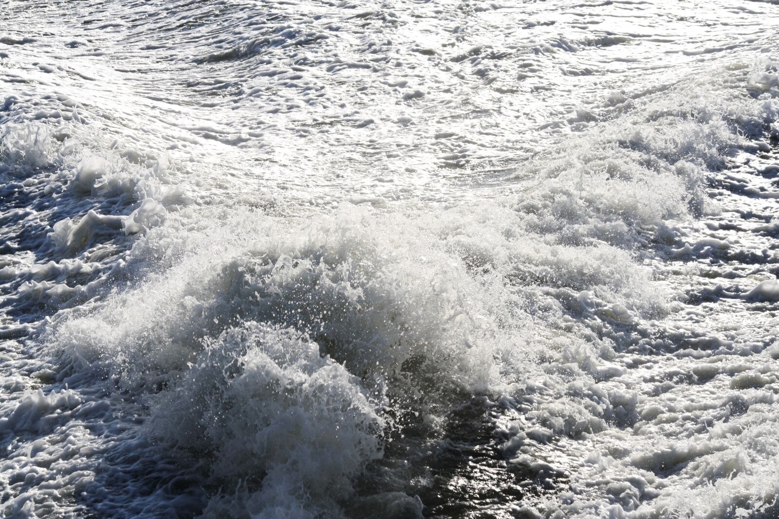 Canon EOS 1000D (EOS Digital Rebel XS / EOS Kiss F) sample photo. Rear, wake, river photography