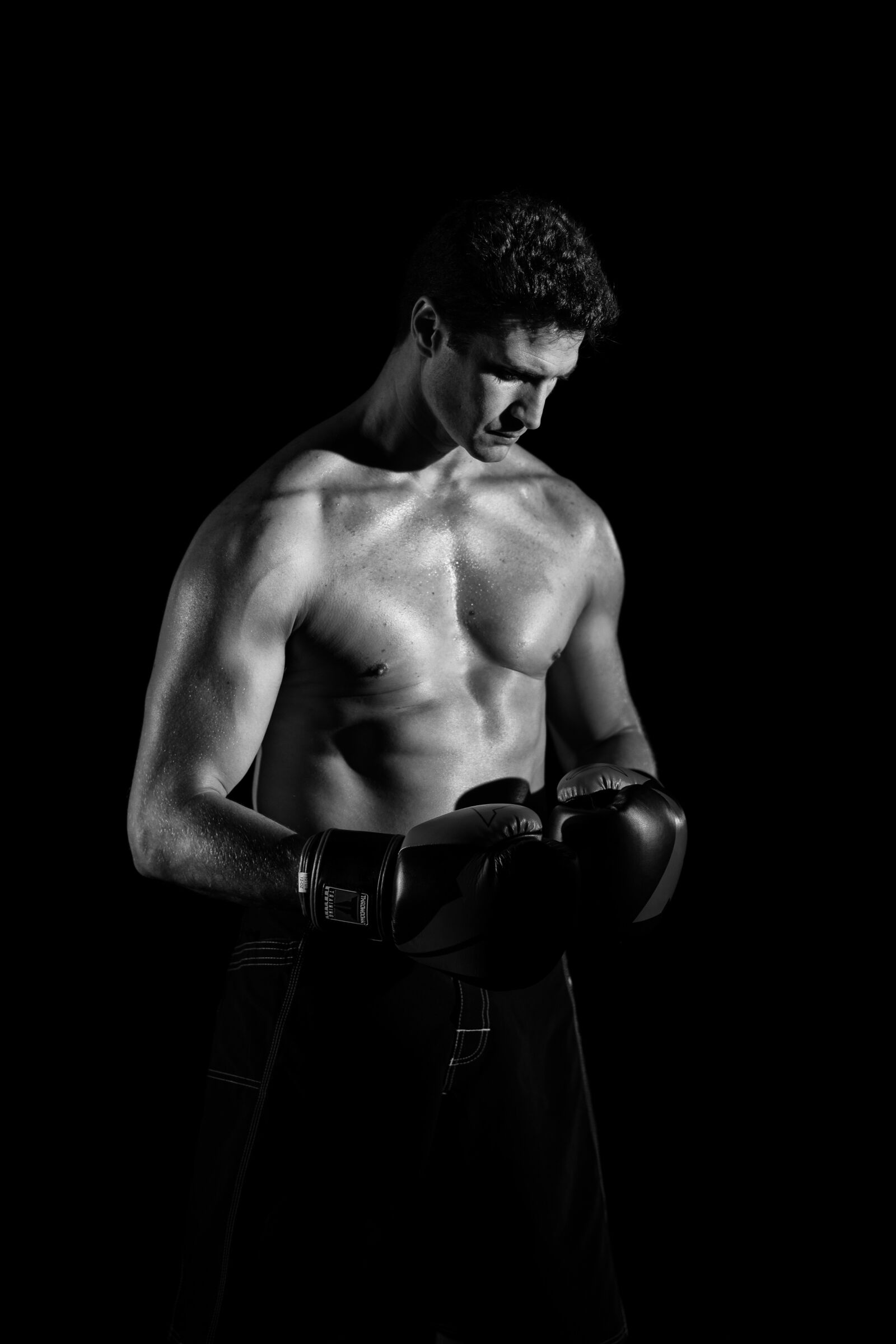 Nikon D800 sample photo. Body, boxer, boxing photography
