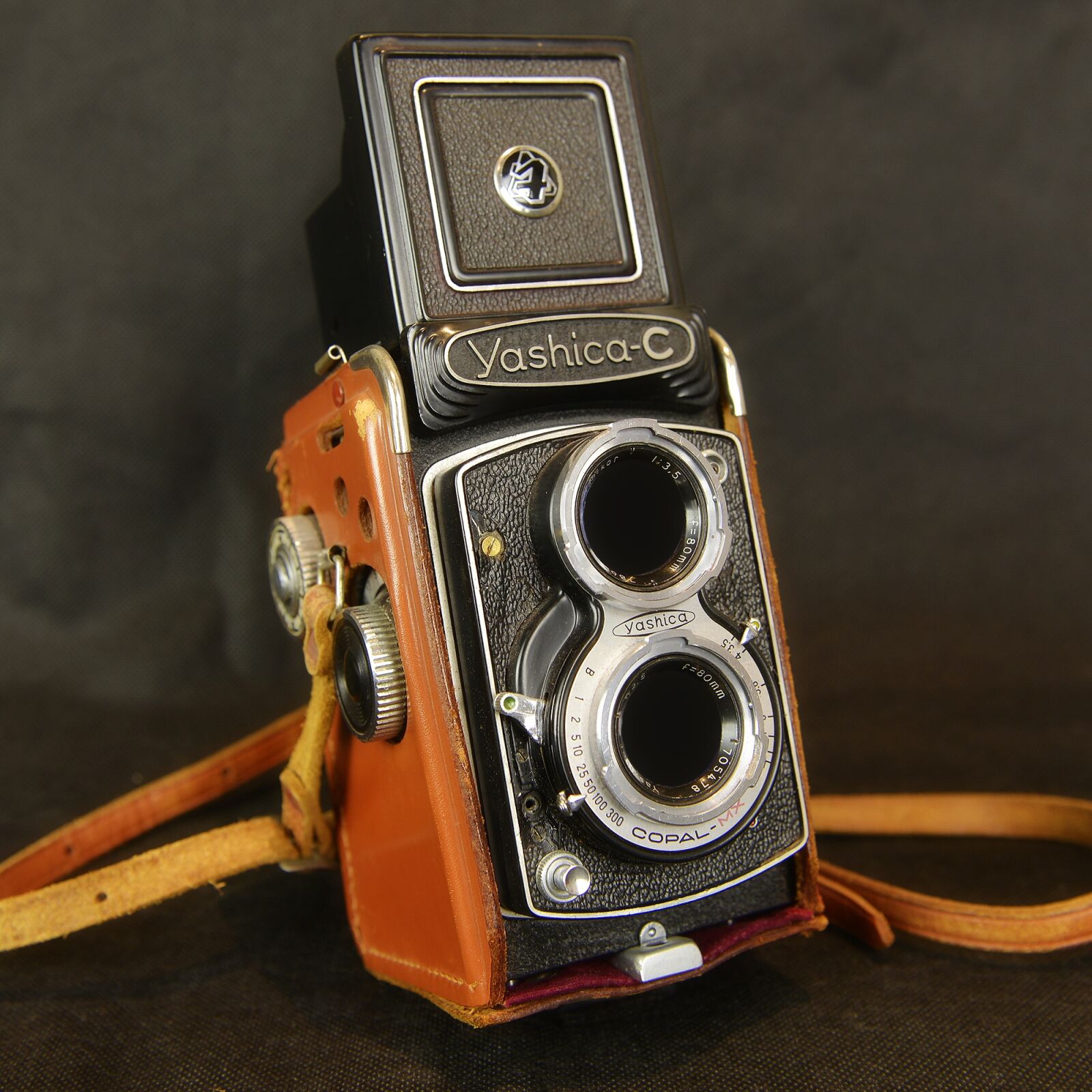 Nikon D600 sample photo. Camera, photo camera, shooting photography