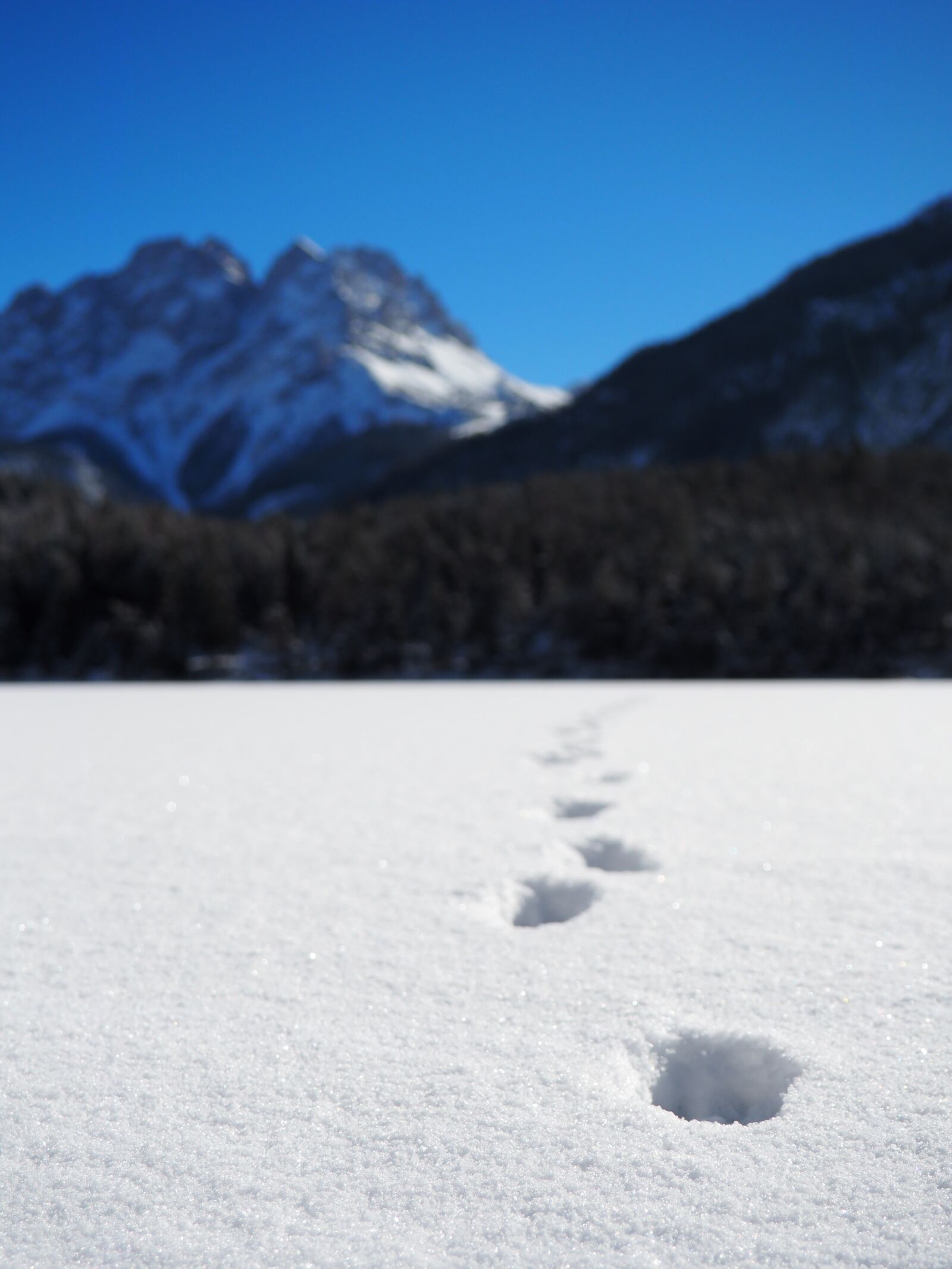 Olympus OM-D E-M10 sample photo. Tyrol, winter, winter sports photography