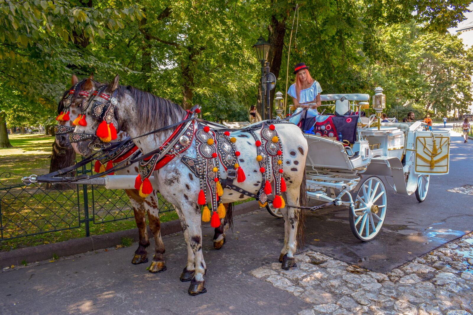 Nikon D3300 sample photo. Carriage, horses, girl photography
