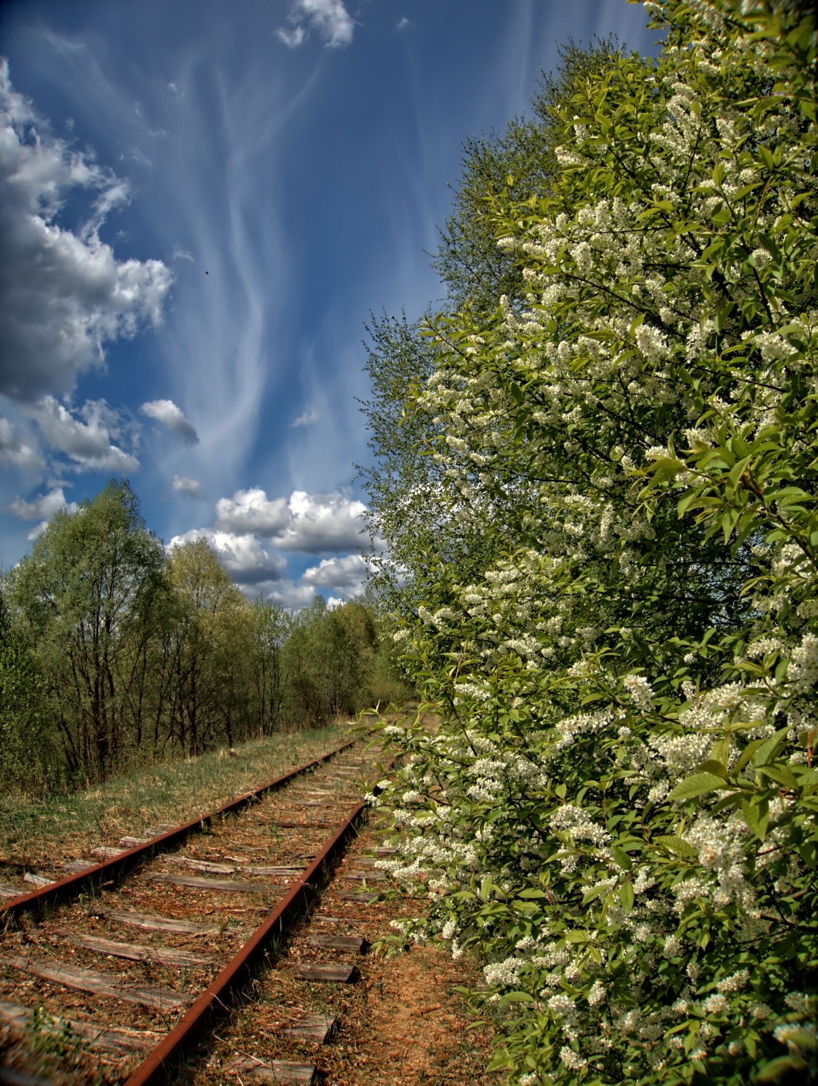 Canon PowerShot S120 sample photo. Spring, railway, old photography