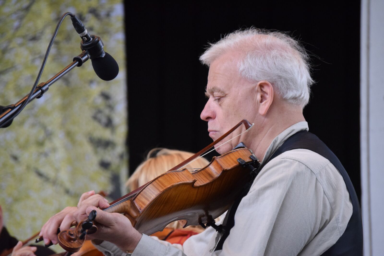 Nikon D3300 sample photo. Midsummer, fiddler, tradition photography
