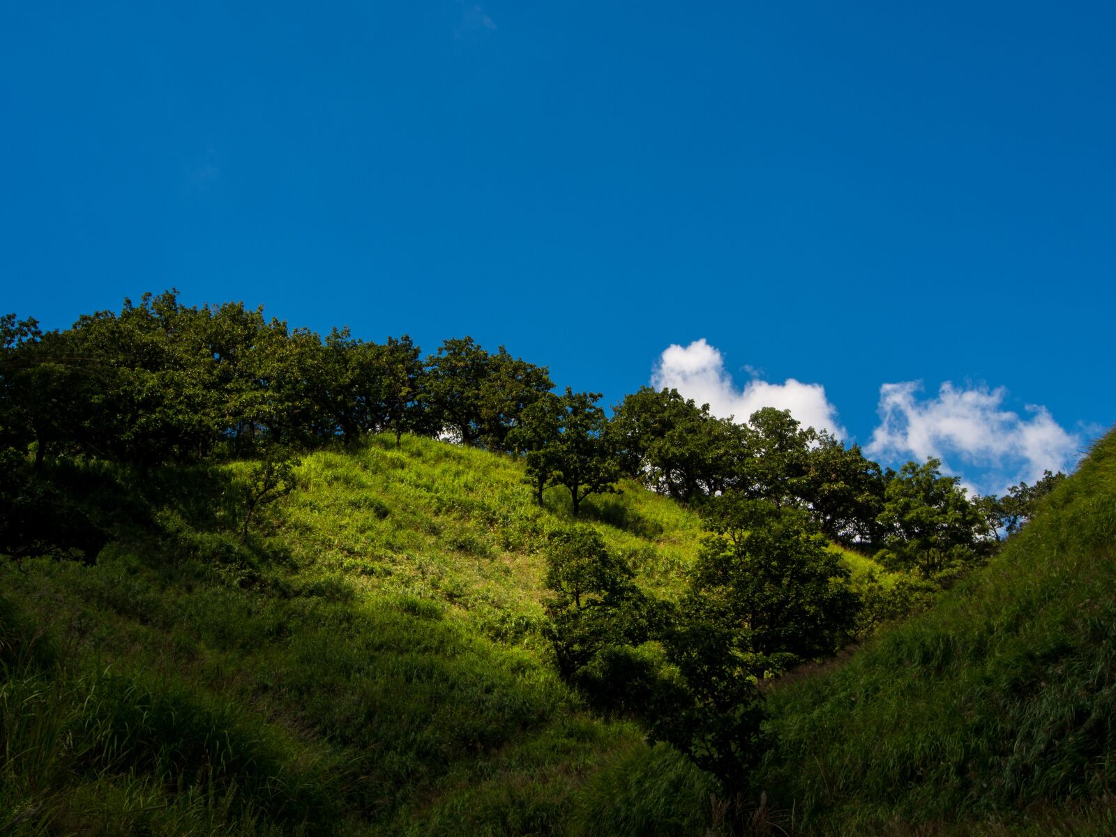 OLYMPUS M.12-50mm F3.5-6.3 sample photo. Japan, minami aso, sky photography