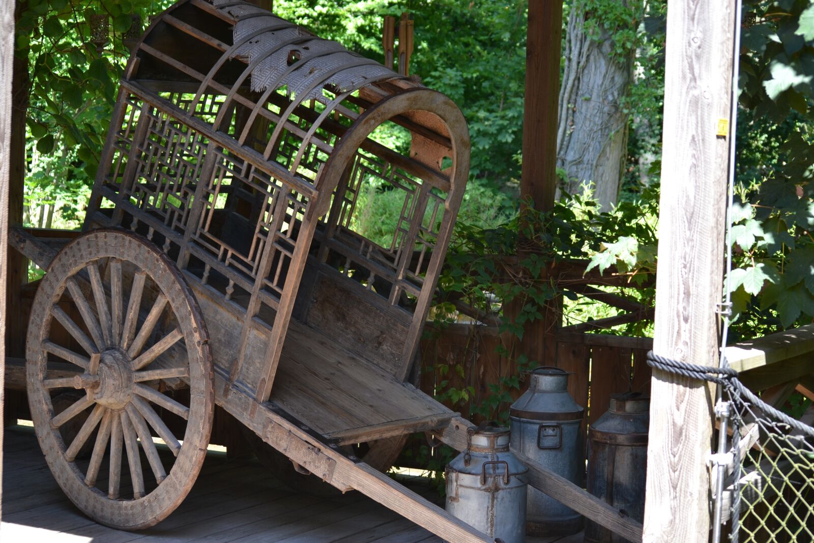 Nikon D3100 sample photo. Dare, team, cart photography