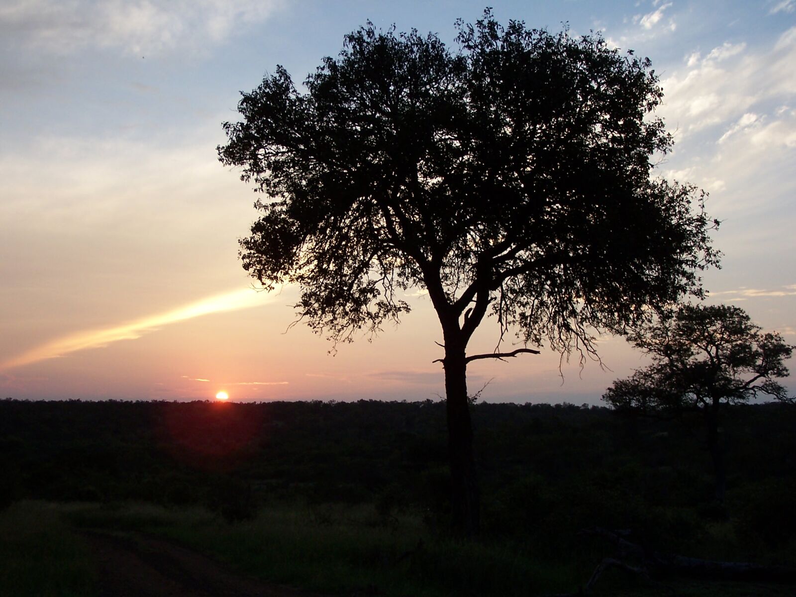 Kodak DX6490 ZOOM DIGITAL CAMERA sample photo. Africa, sunset photography