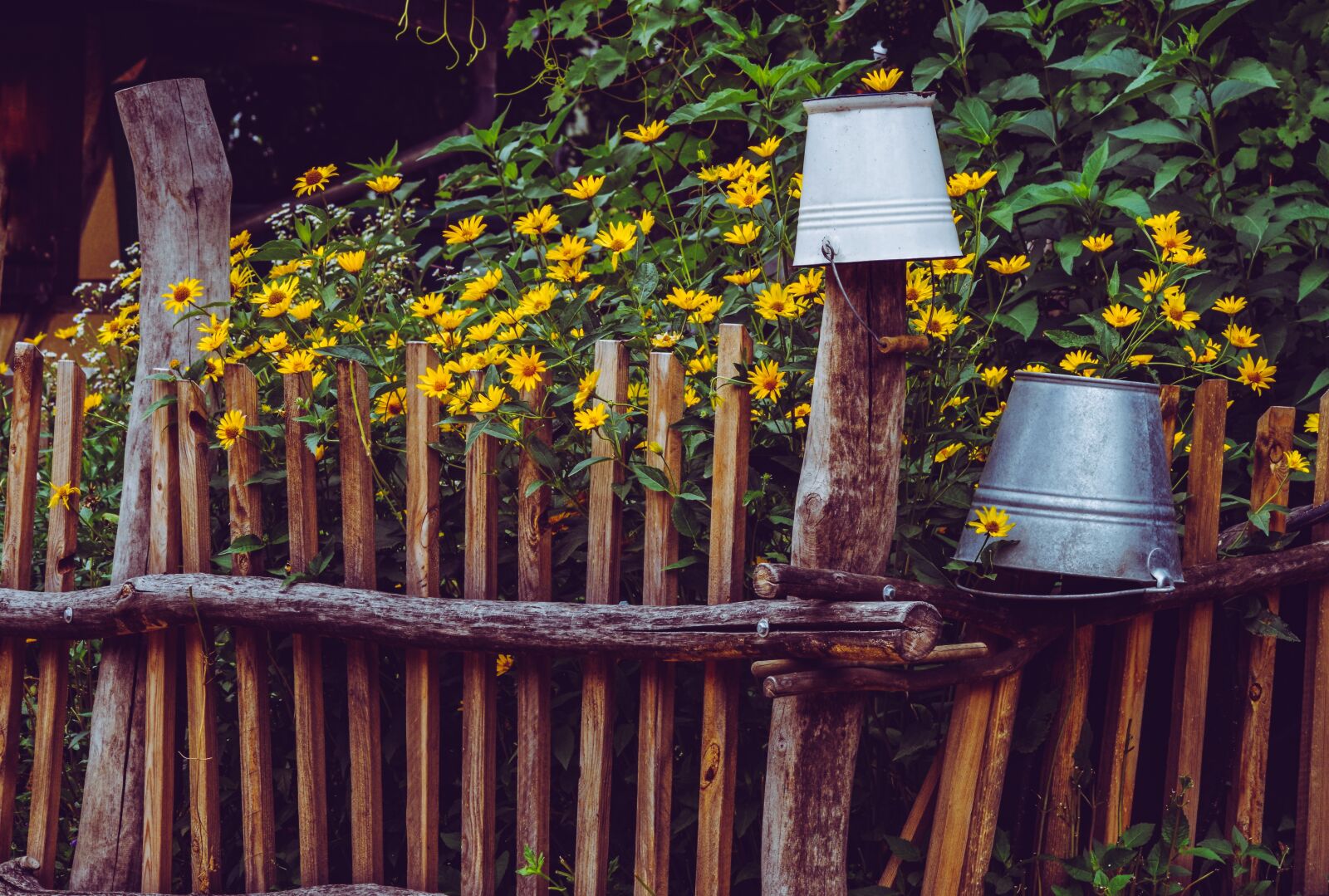Pentax K-30 sample photo. Farm, flowers, bucket photography