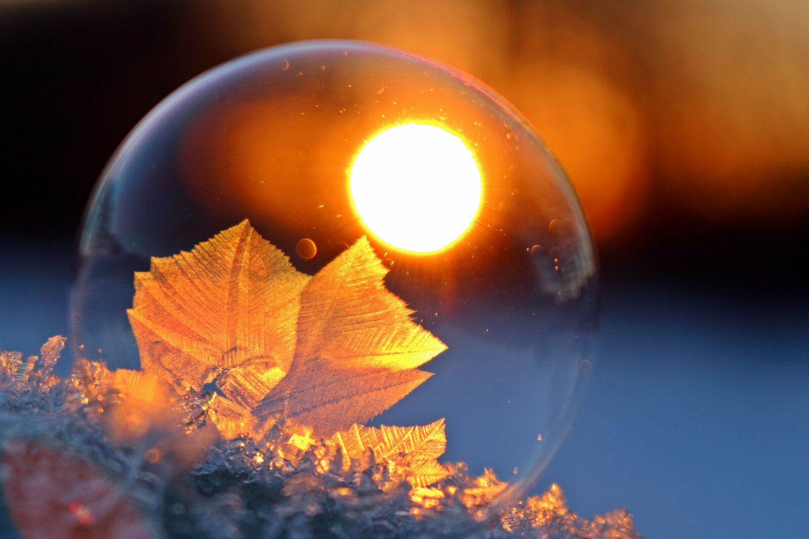 Canon EOS 100D (EOS Rebel SL1 / EOS Kiss X7) sample photo. Hardest, soap bubble, eiskristalle photography