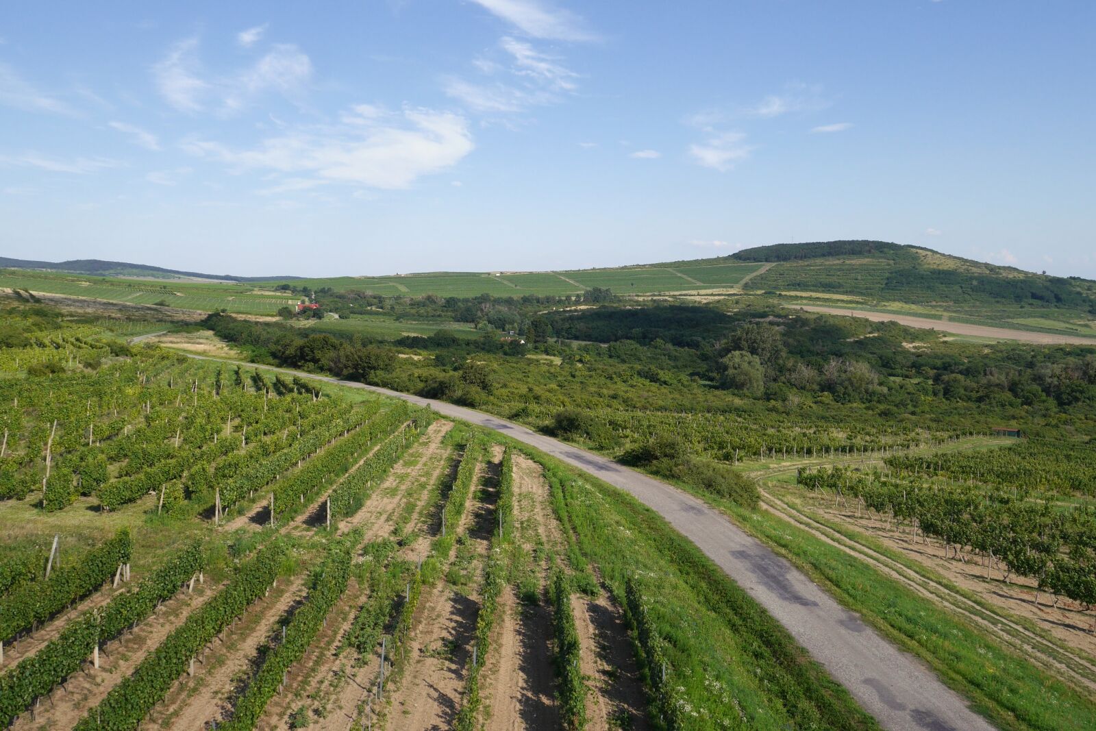 Panasonic Lumix DMC-G6 sample photo. Country, vineyard, tokaj photography
