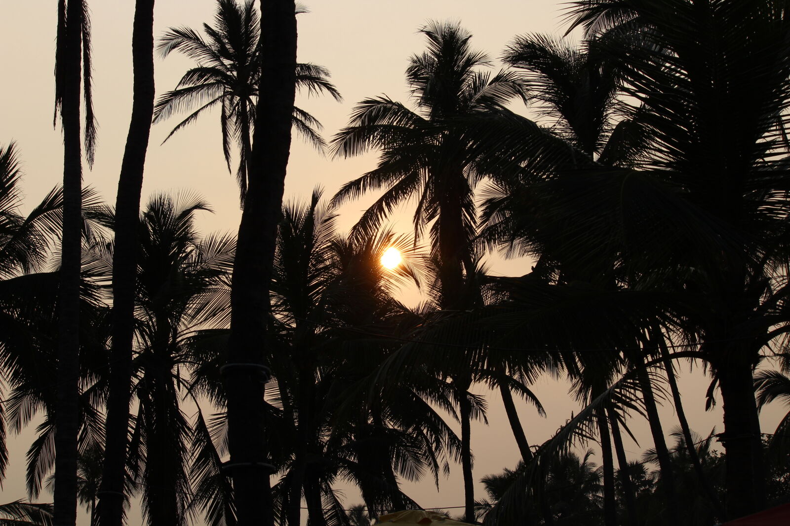 Canon EOS 1300D (EOS Rebel T6 / EOS Kiss X80) sample photo. Evening, sun photography