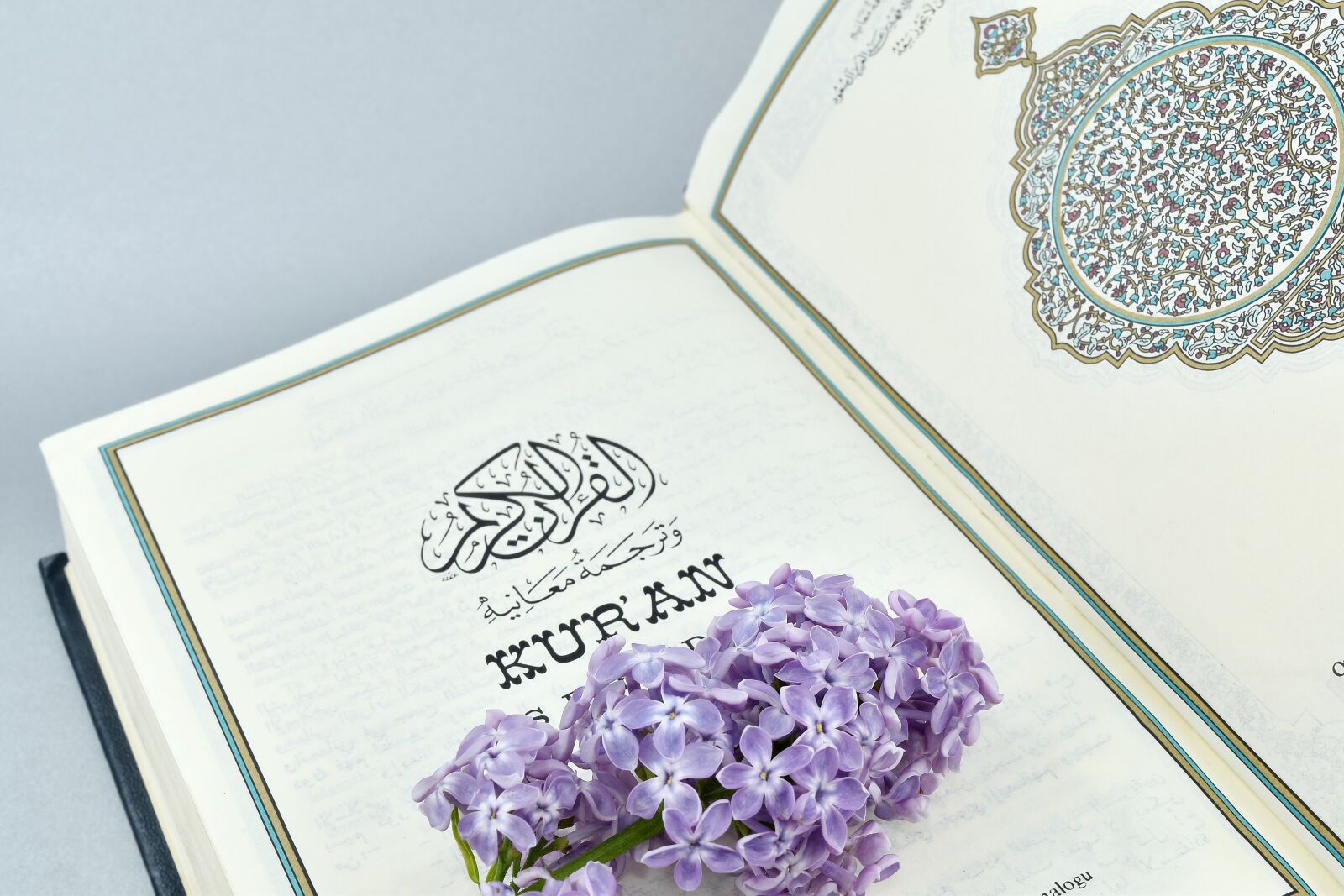 Nikon D5500 sample photo. Arabesque, arabic, book, flower photography