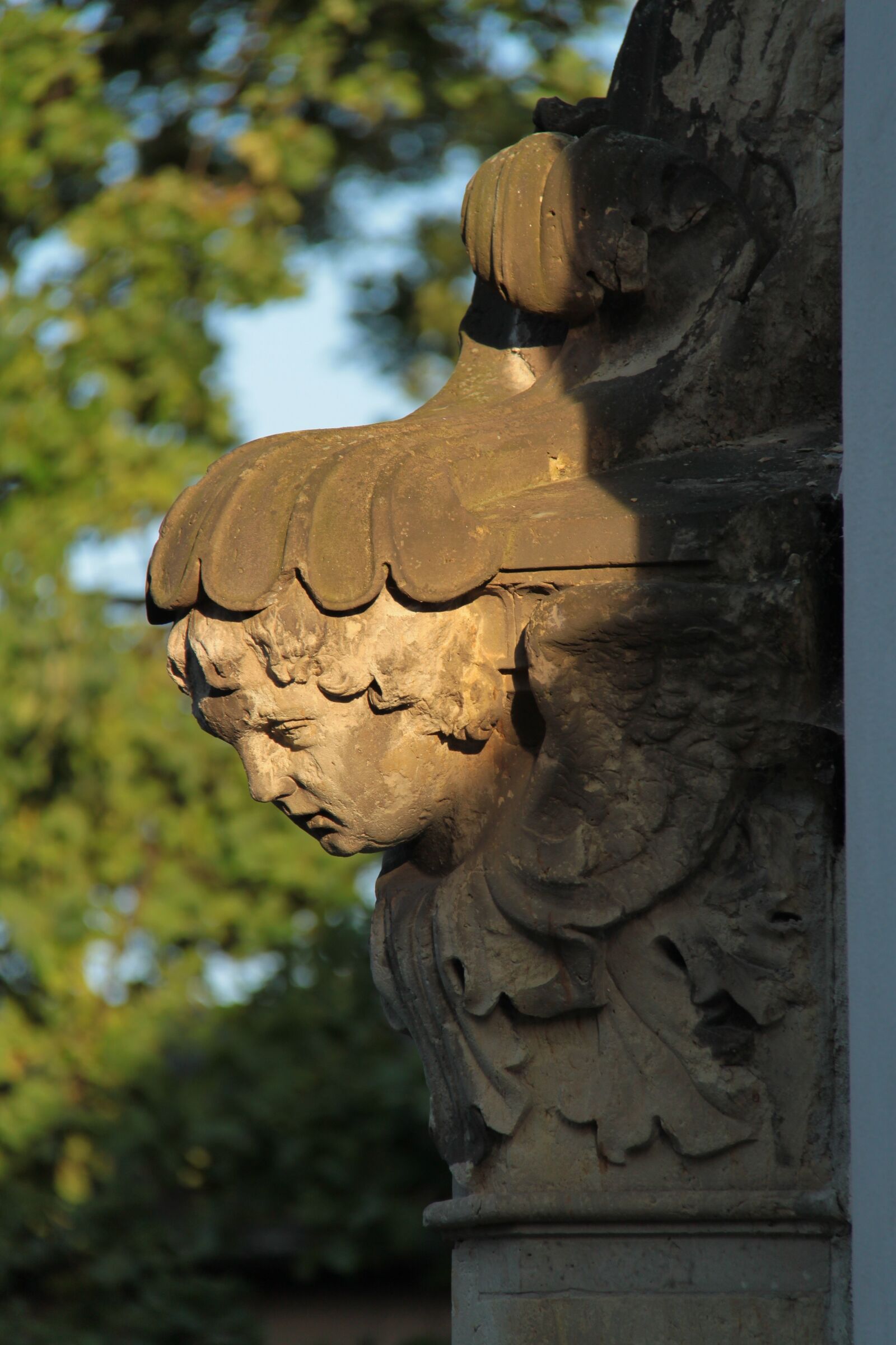 Canon EOS 500D (EOS Rebel T1i / EOS Kiss X3) sample photo. Old cemetery, dresden, catholic photography