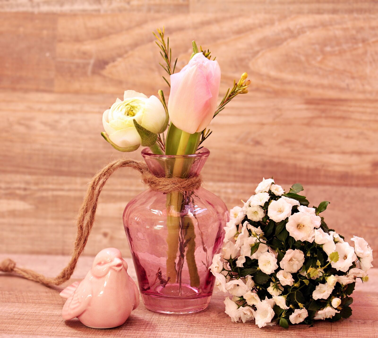 Canon EOS 550D (EOS Rebel T2i / EOS Kiss X4) sample photo. Tulips, ranunculus, bird photography