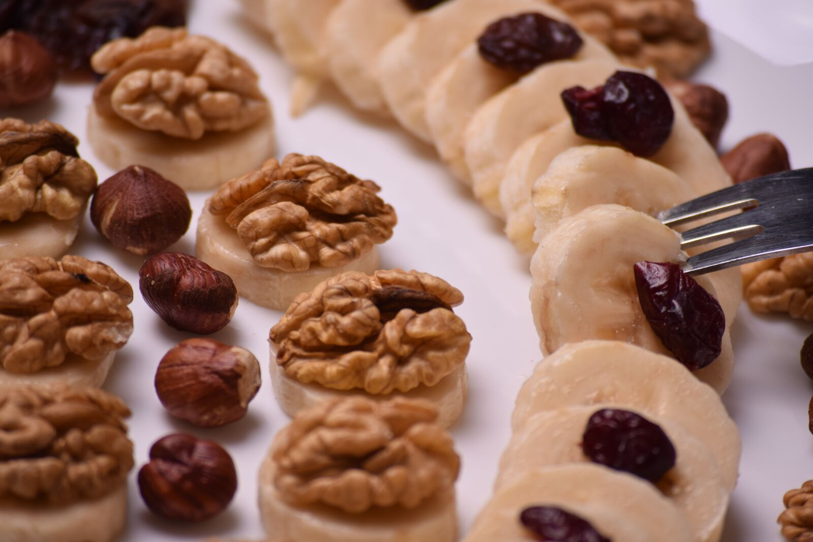 Nikon D3300 sample photo. Oatmeal, dried cranberries, cranberries photography