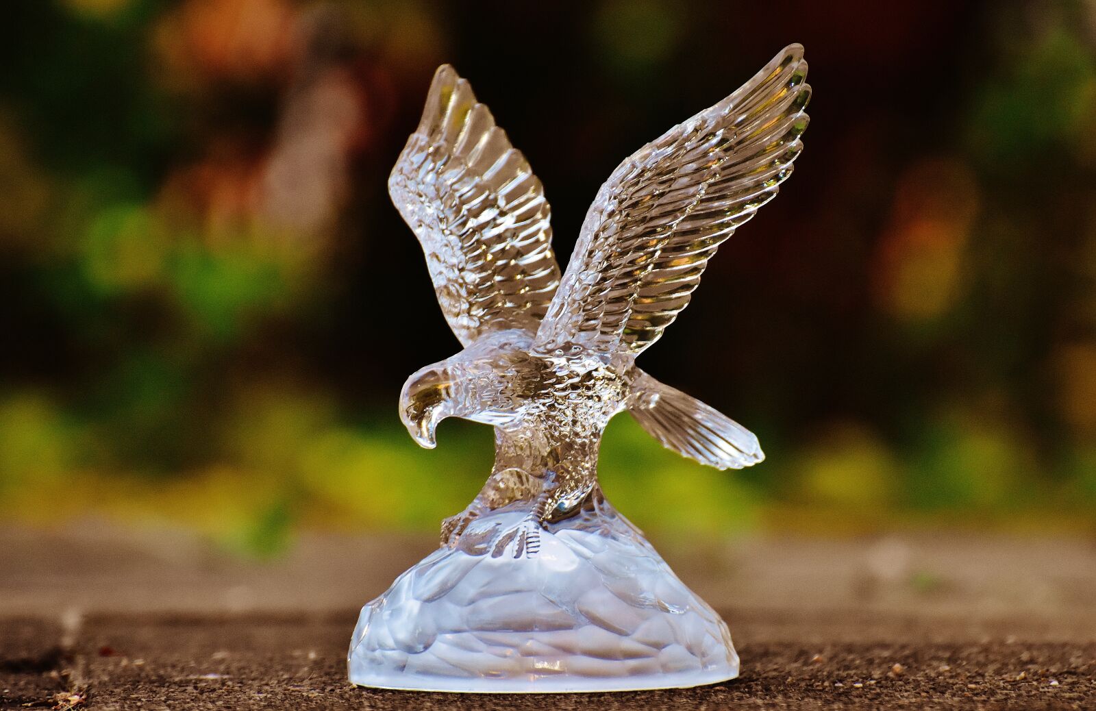 Nikon D7200 sample photo. Raptor, adler, glass photography